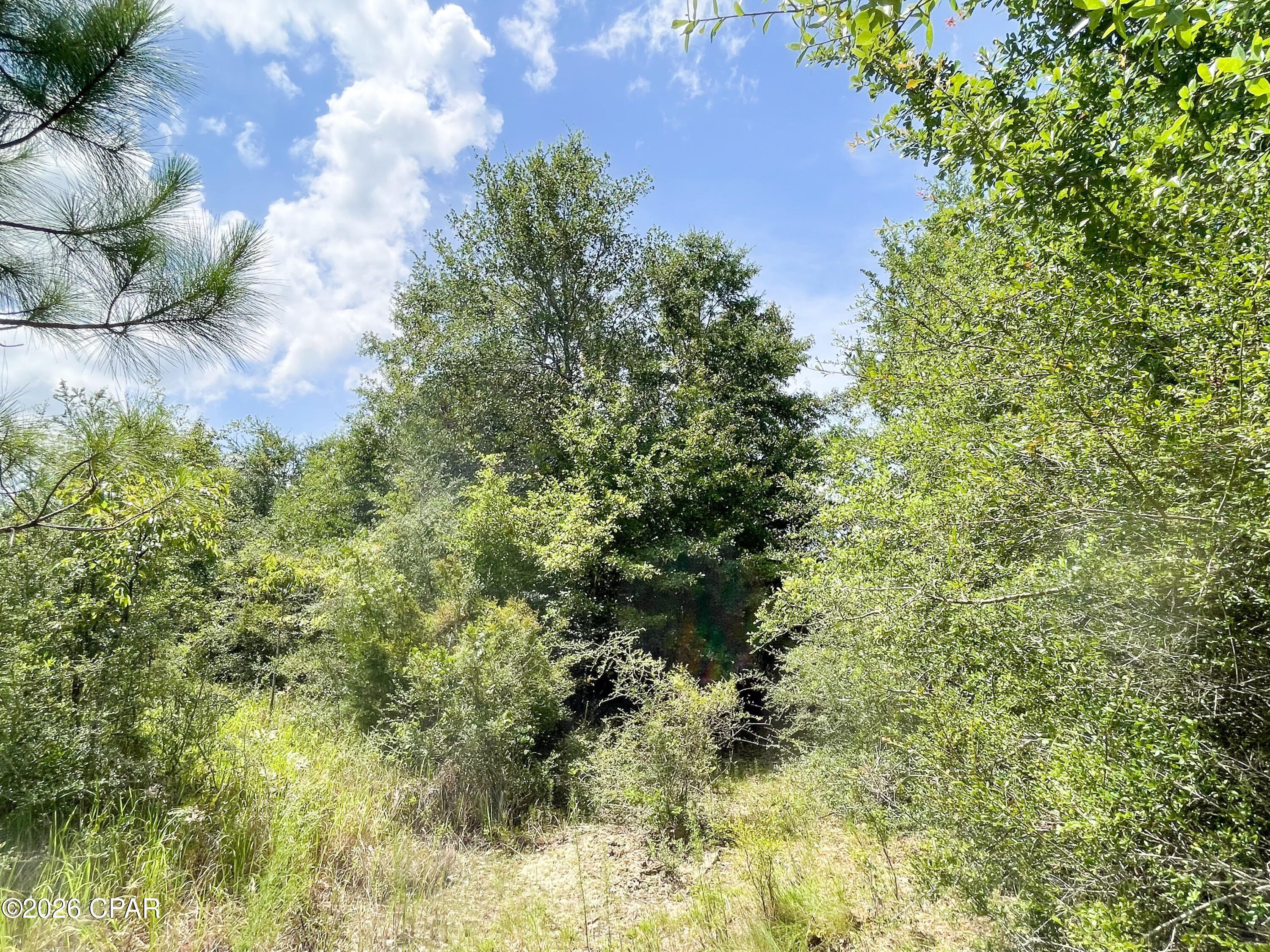 Pine Ridge Estates - Land