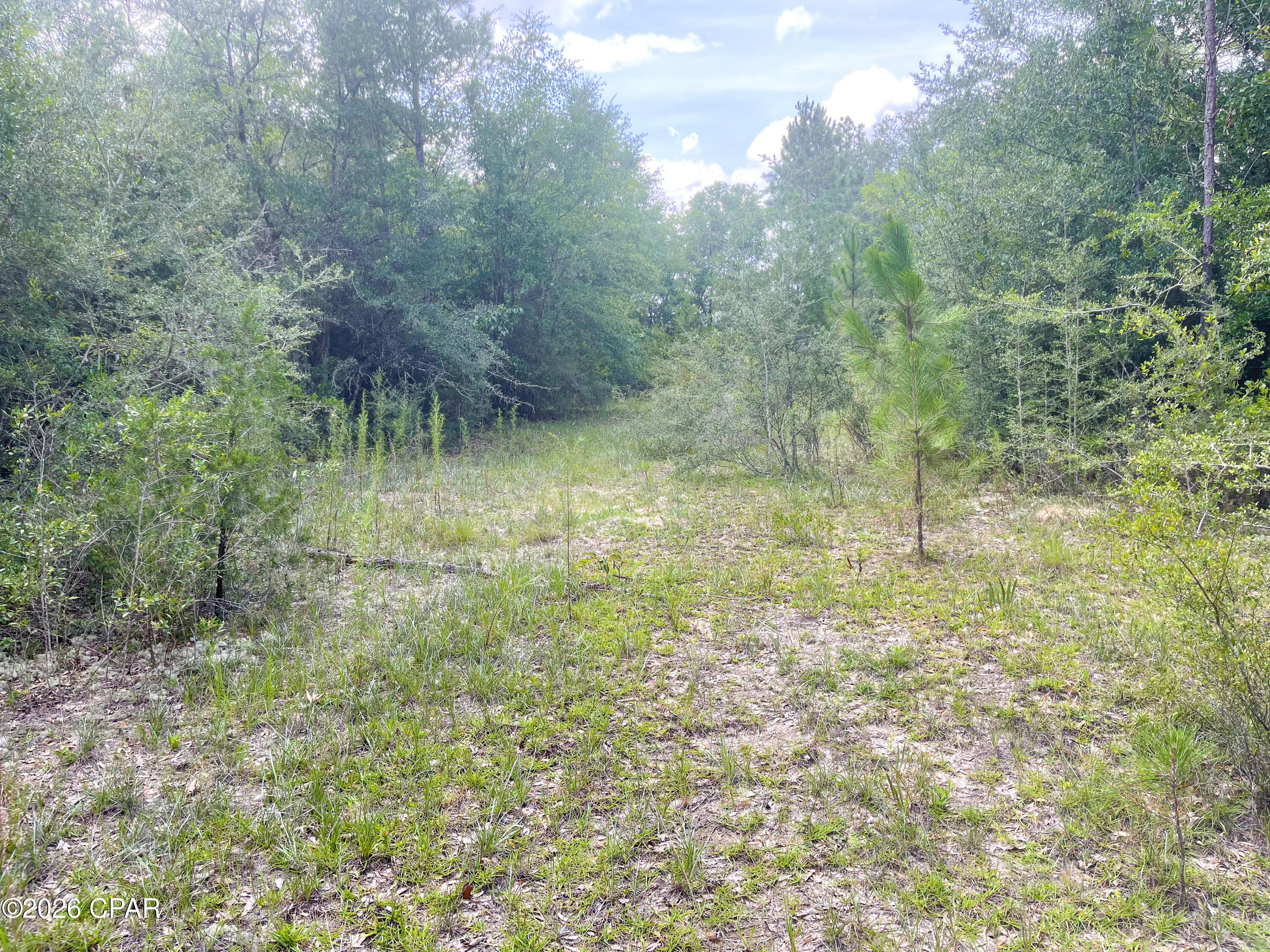 Pine Ridge Estates - Land