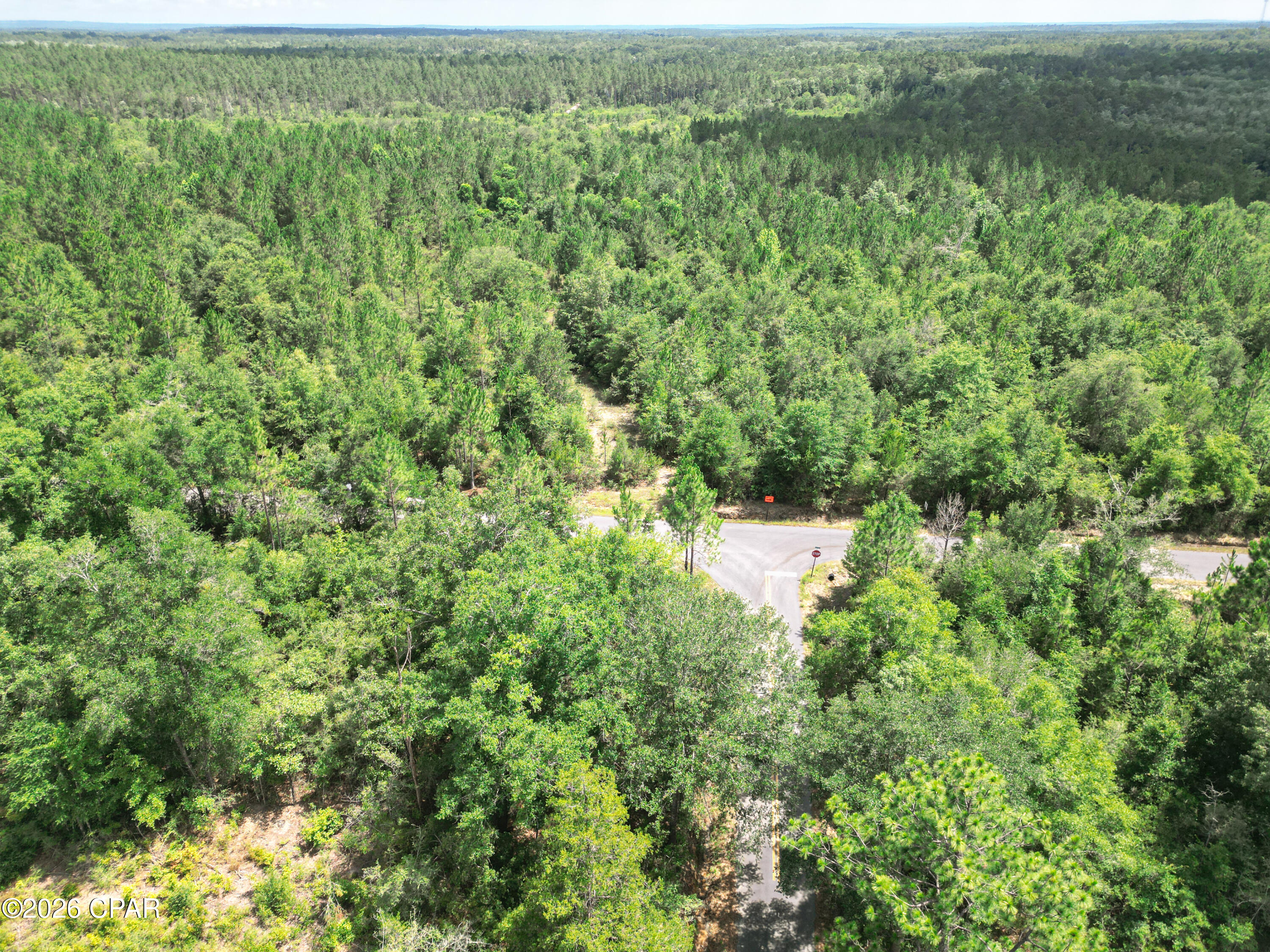 Pine Ridge Estates - Land
