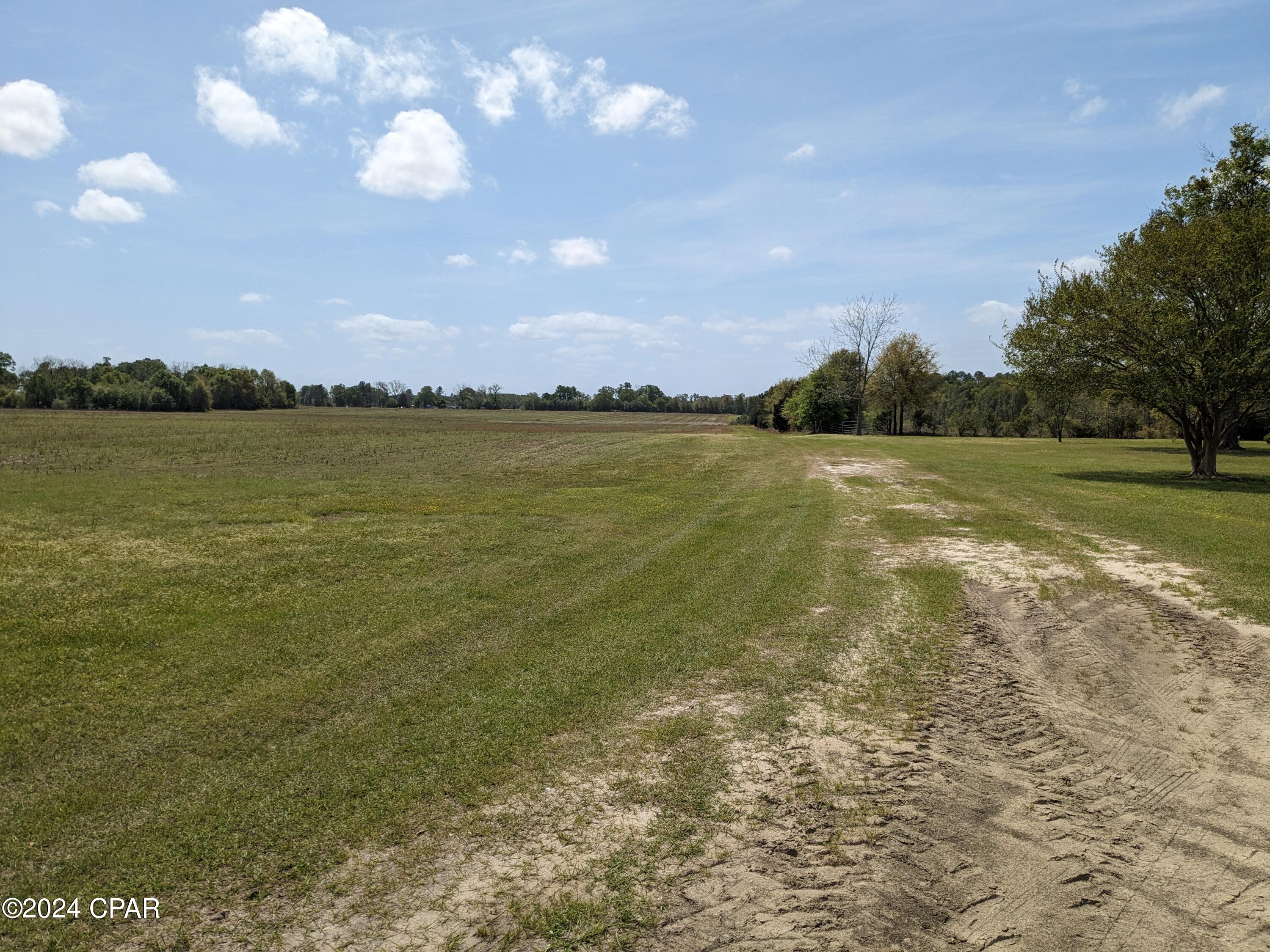 Very nice piece of land that is completely cleared. Been used for crops the last 20 yrs.  Has hwy  71 frontage of 836 ft and runs down the side of Banner Rd for 935 ft which is a dirt rd. Total acreage is 42.92. Land is cropland  class 3.