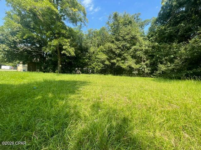 Lot on corner of Cedar and Washington St.  Nice residential building lot in town with city water and  sewer.  Great place to utilize for a forever home or put a rental property on it for income producing property.