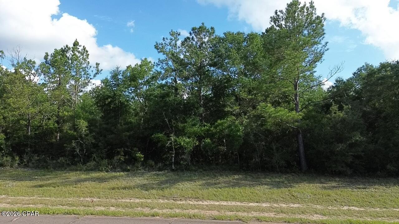 Sunny Hills Unit 11 - Land