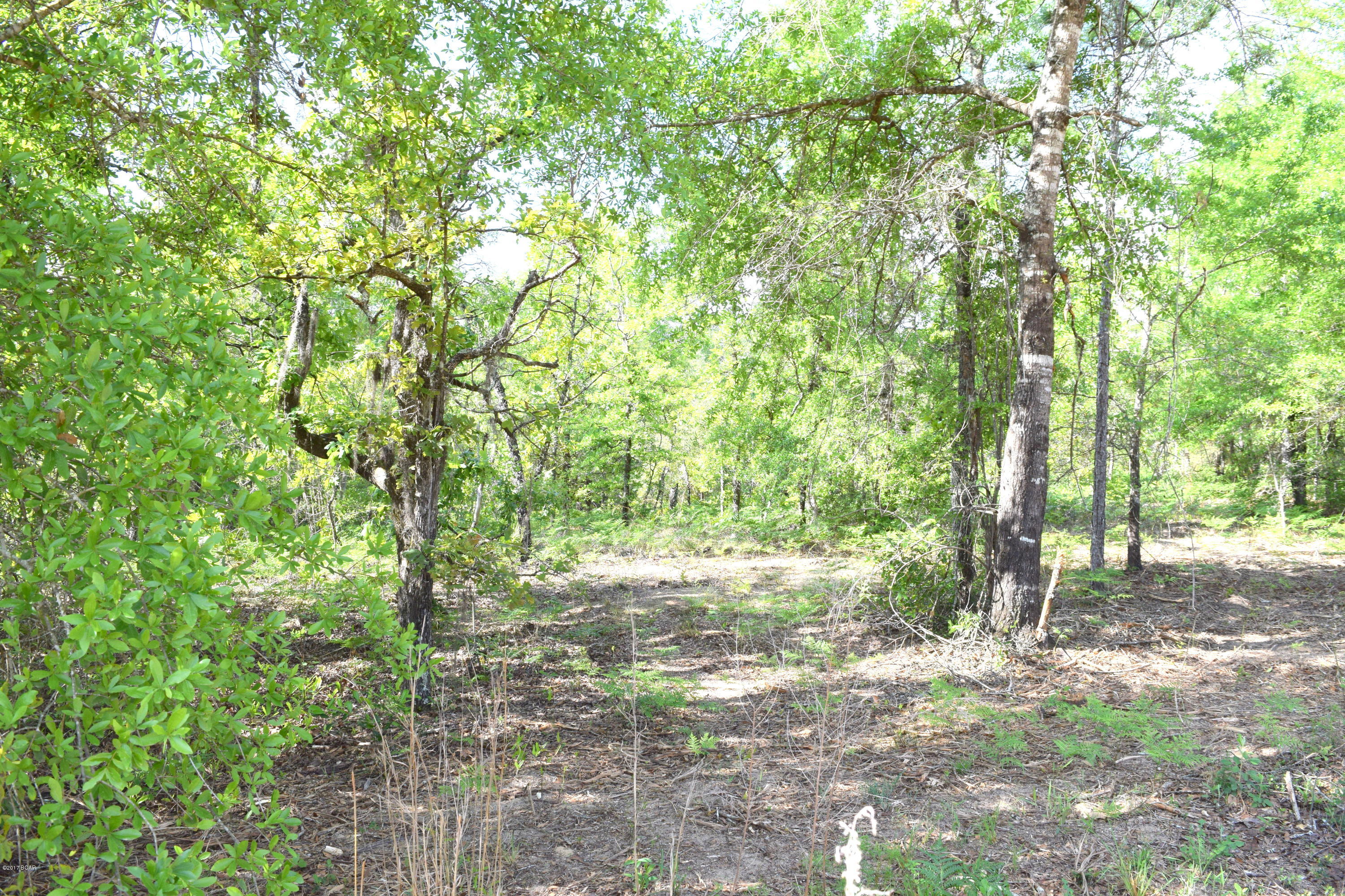 Highview Acres - Land