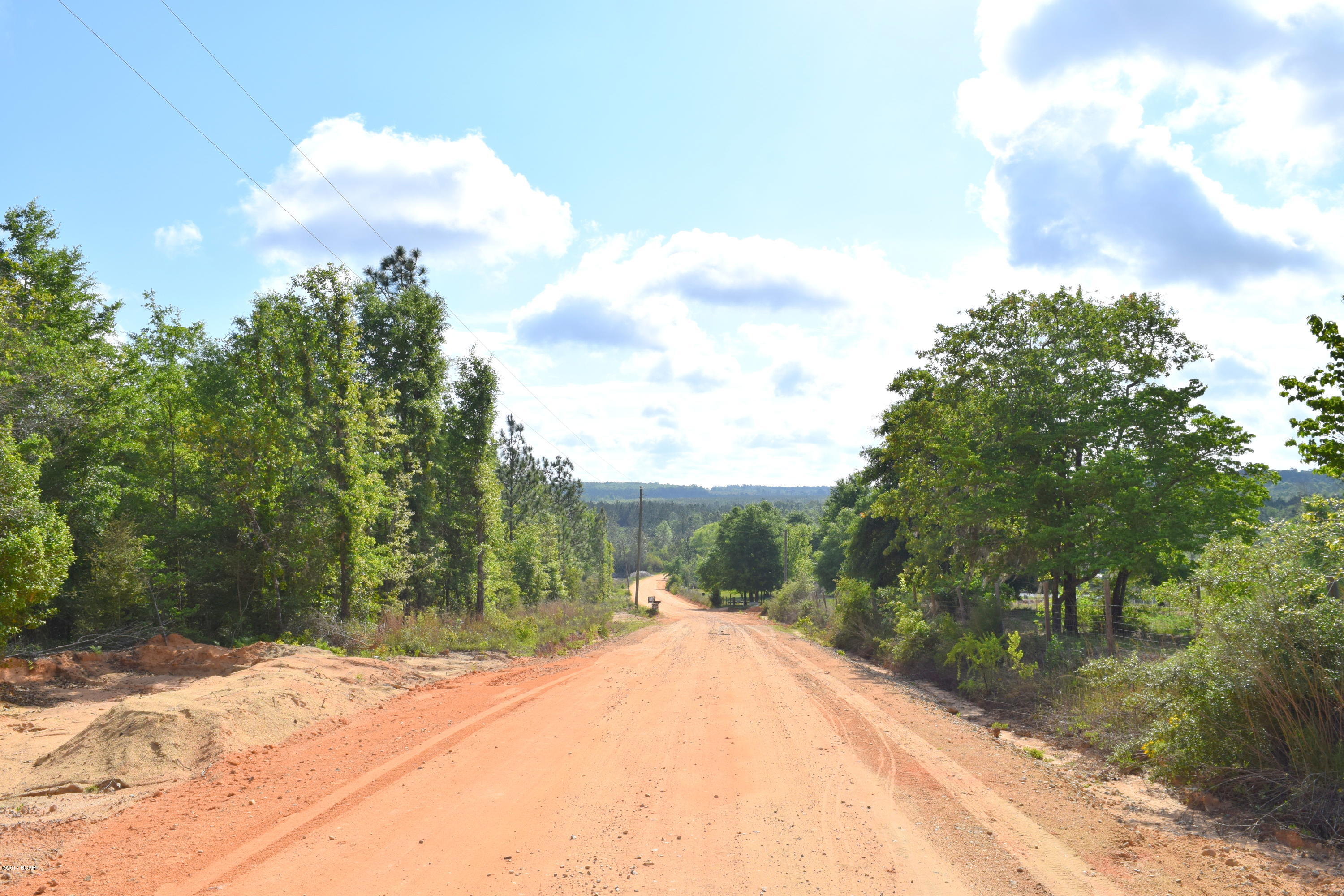 *OWNER FINANCING AVAILABLE* Over 12 acres perfect for hunting, new home or investment property. This tract is primarily wooded and is located just off Orange Hill Rd.