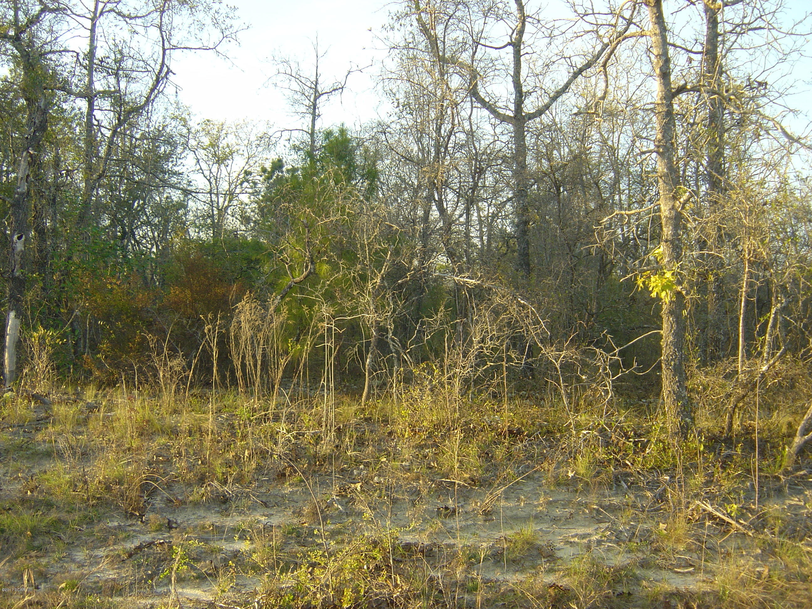 Excellent compass lake in the hills lot in a great section just off of Edison a partical paved rd. All the amenities of CLH including pool, beach, fishing and tennis cts are included.  Great level lot for building or for just enjoying the amenities.