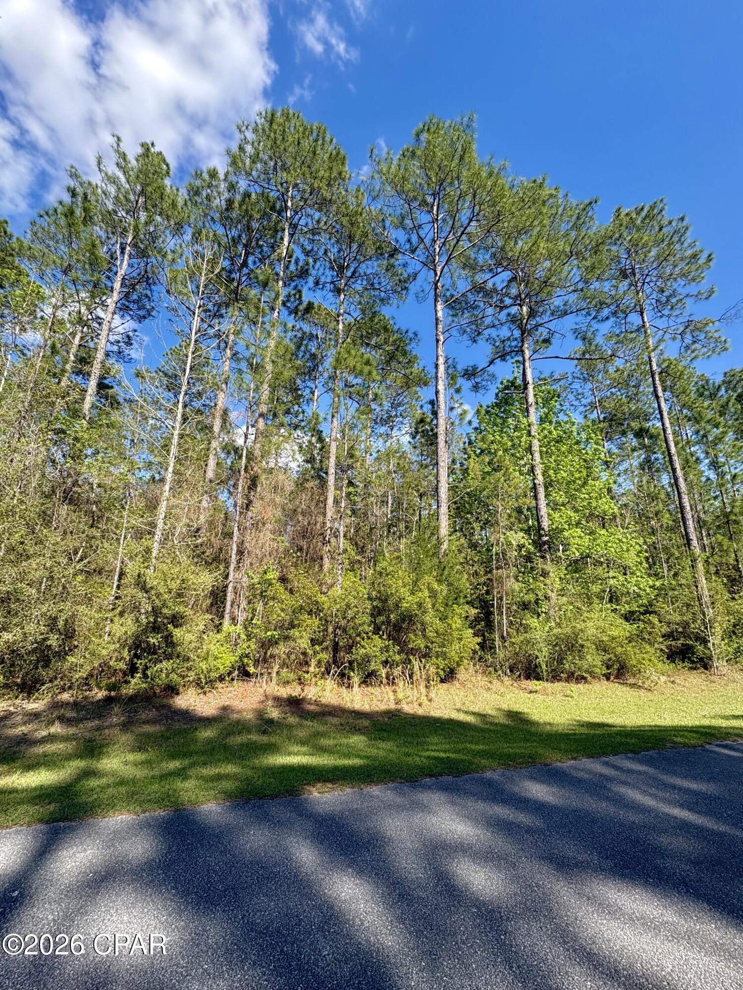 Looking for a building lot in a quiet community less than 45 minutes to Panama City Beach? Consider Cypress Crossing! This 3.6 acre lot in a gated community is located a short drive from Vernon and Highway 79. The oak lined streets would make for such a beautiful drive coming home. Underground electricity is available and a well/septic would need to be added to the lot for sewer/water connection. The community allows for site built homes only and the HOA is $700 per year. Vernon is home to Holmes Creek and Cypress Spring, a popular spot for swimming and boating. This area also features plenty of wildlife including deer, turkey, rabbit, birds, squirrels, and more. A lot of the lots are still wooded in this community, so you have the opportunity to have privacy with no neighbors right now. The front 57% of the property is flood zone X (no flood zone) according to the Northwest Florida Water Management flood maps. The buyer is responsible for choosing and paying for the title policy.