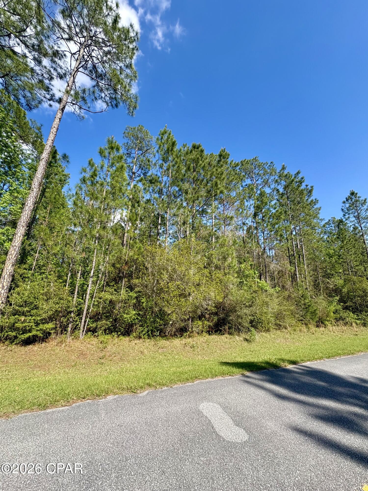 Cypress Crossing - Land