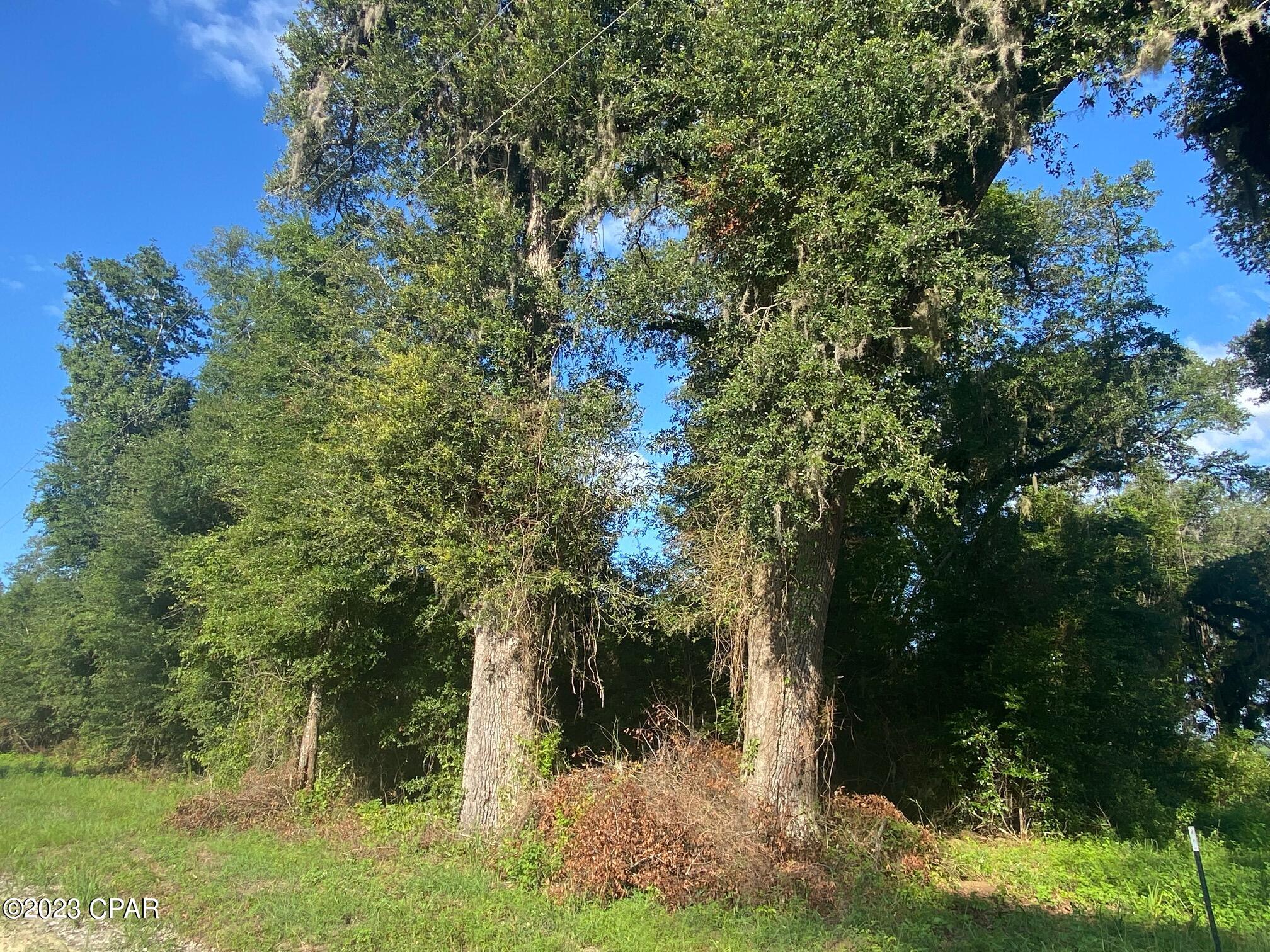 No Named Subdivision - Land