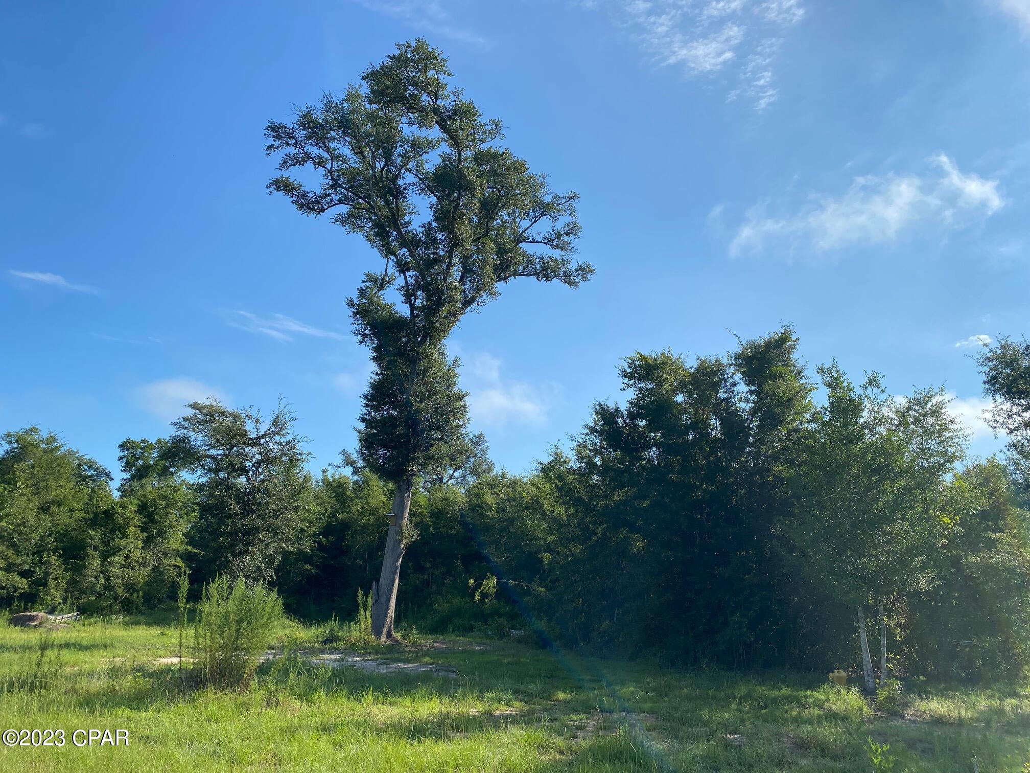 No Named Subdivision - Land