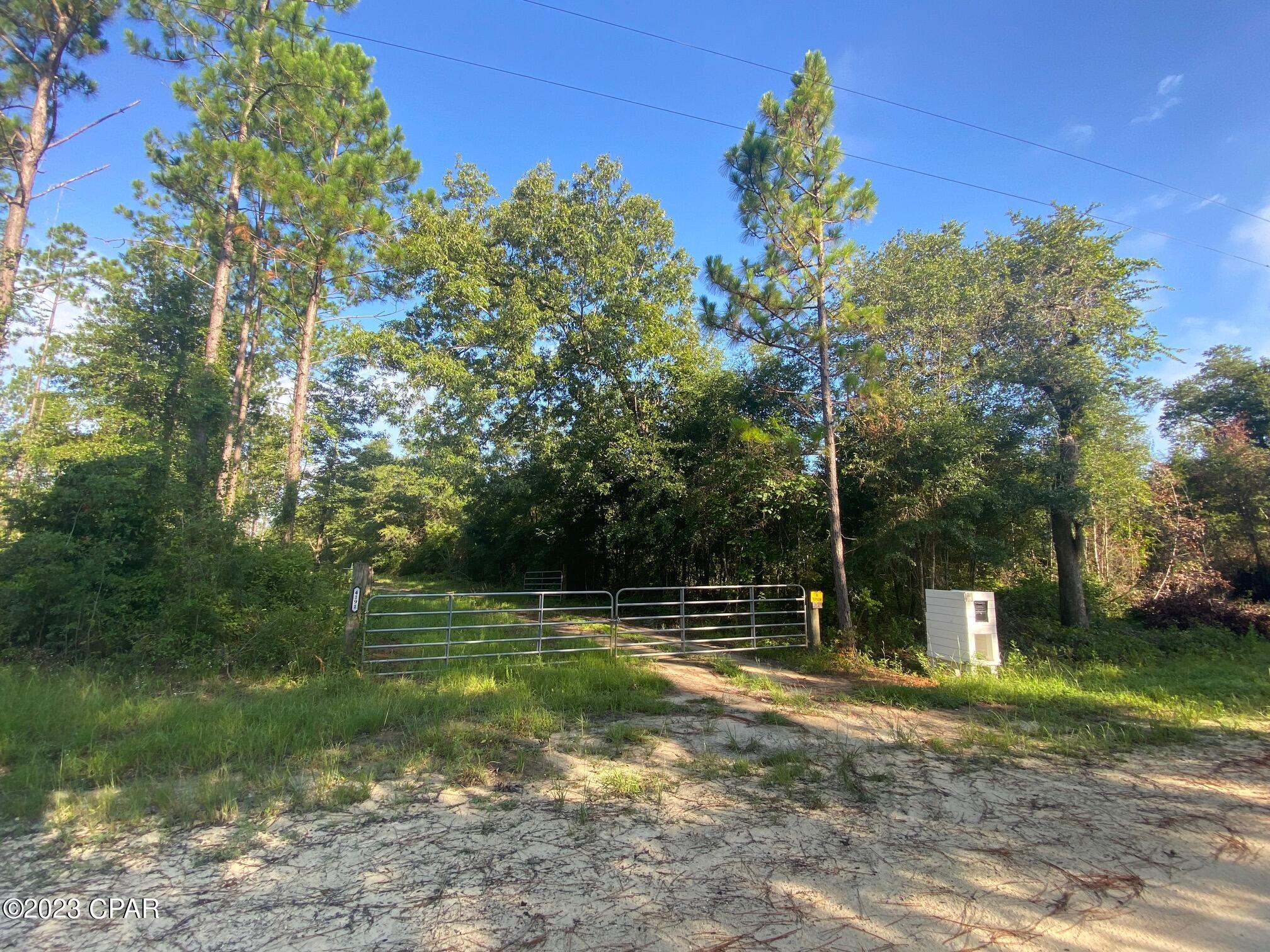 18.51+ acres of land with a 4 inch well and underground electricity run to your new home site!  The home site is in the center of the property hidden from the road.  There's a mailbox and gated driveway in place.  Insulated storage building with a window air conditioner.  Irrigated garden.  There's a play yard for the kids planted in empire zoysia sod with a trampoline, swing and tether ball.  Golf cart and walking trails.  Multiple hunting plots - there's an abundance of wildlife in the area.  Nestled between undeveloped large parcels (Pine trees & Row Crop) for a quiet, secluded environment.  Miles of dirt roads for horse riding or off road vehicles.  Survey available.  This place is ready for you to come enjoy our quiet, country lifestyle!!