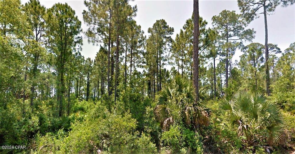 A beautiful vista awaits you with your choice of several lots new to the market overlooking the historical and pristine waters of Indian Lagoon. These lots are a paddleboarder's and kayaker's dream as one can enjoy bird watching, oystering, or shallow in shore fishing. Close proximity to Indian Pass Boat Ramp, Public Beach Access and the famous Indian Pass Raw Bar. Just a short drive to Cape San Blas, Salinas Park, and conveniently located between Port St Joe and Apalachicola. Lots are heavily wooded and have reasonable restrictions. Single family residential use only.