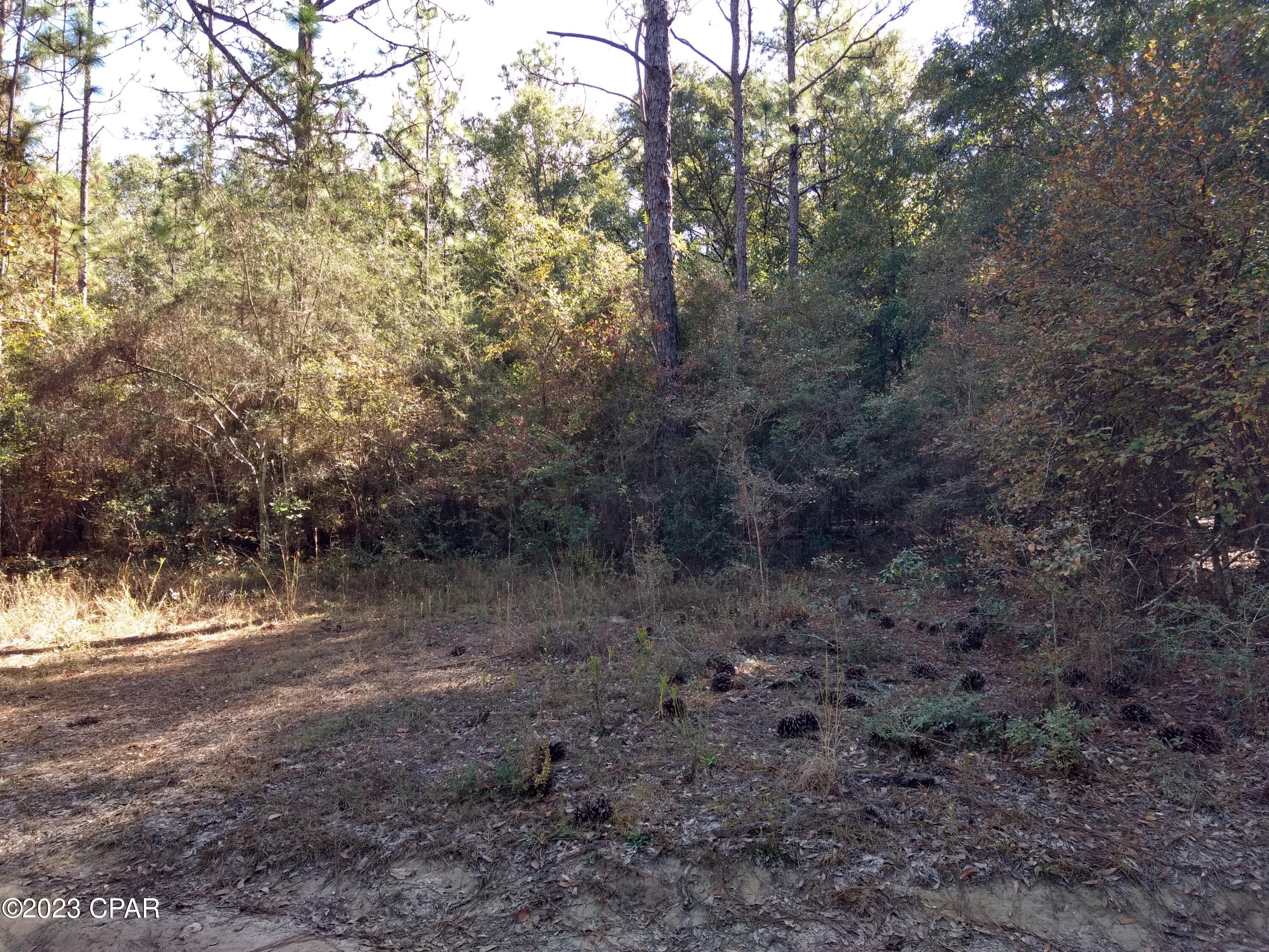 Dogwood Lake Estates - Land