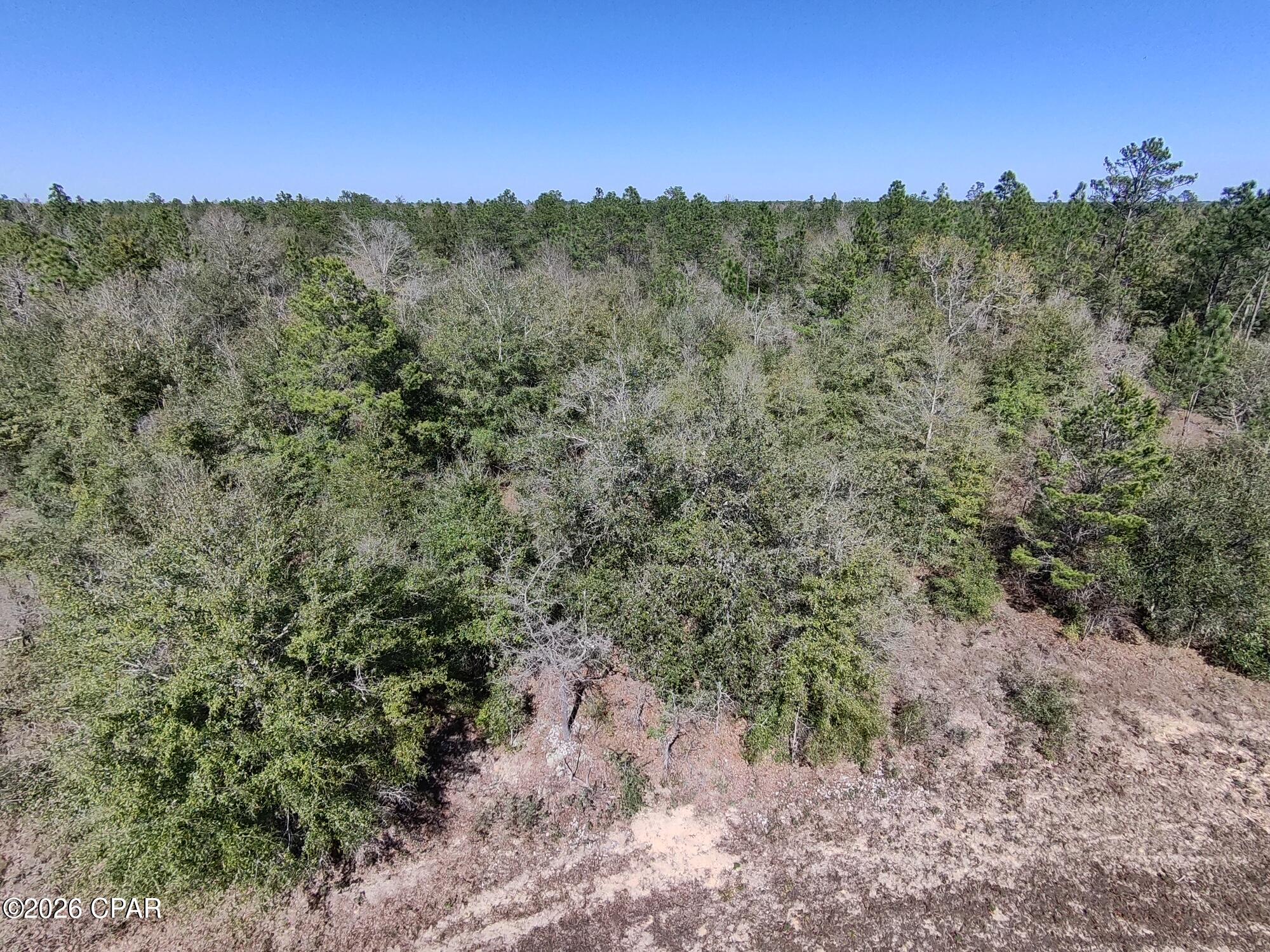 Take advantage of this exceptional opportunity to own an oversized .591 acre building lot in Unit 6 of Sunny Hills, located at Lot 12 on Gondolier Drive. This lightly treed, flat and level parcel offers a prime homesite with plenty of space for a custom home, garage, and outdoor living area.

Positioned extremely close to the Sunny Hills Golf Course. Just six lots down from the fairway frontage along Gondolier, this property places you just moments from one of the community's most desirable recreational features. The surrounding area includes established homes near the golf course along with ongoing new construction, demonstrating continued growth and investment in this section of Sunny Hills. While this particular stretch of Gondolier has not yet been developed, that adds to the current privacy and future upside potential.

The generous size of the lot provides design flexibility and added buffer space compared to standard parcels. Whether you're planning to build now or secure a strong investment in a growing Northwest Florida community, this property checks all the boxes.

Great location, oversized footprint, and priced attractively don't miss this opportunity.