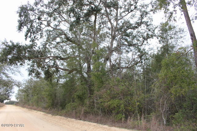 Wooded acreage located on the northeast corner of Green and Hussey Rd.  Over 2500 road frontage feet on Green Rd.  Loaded with pine and some scattered oak trees.  Lots of  building sites to choose from.