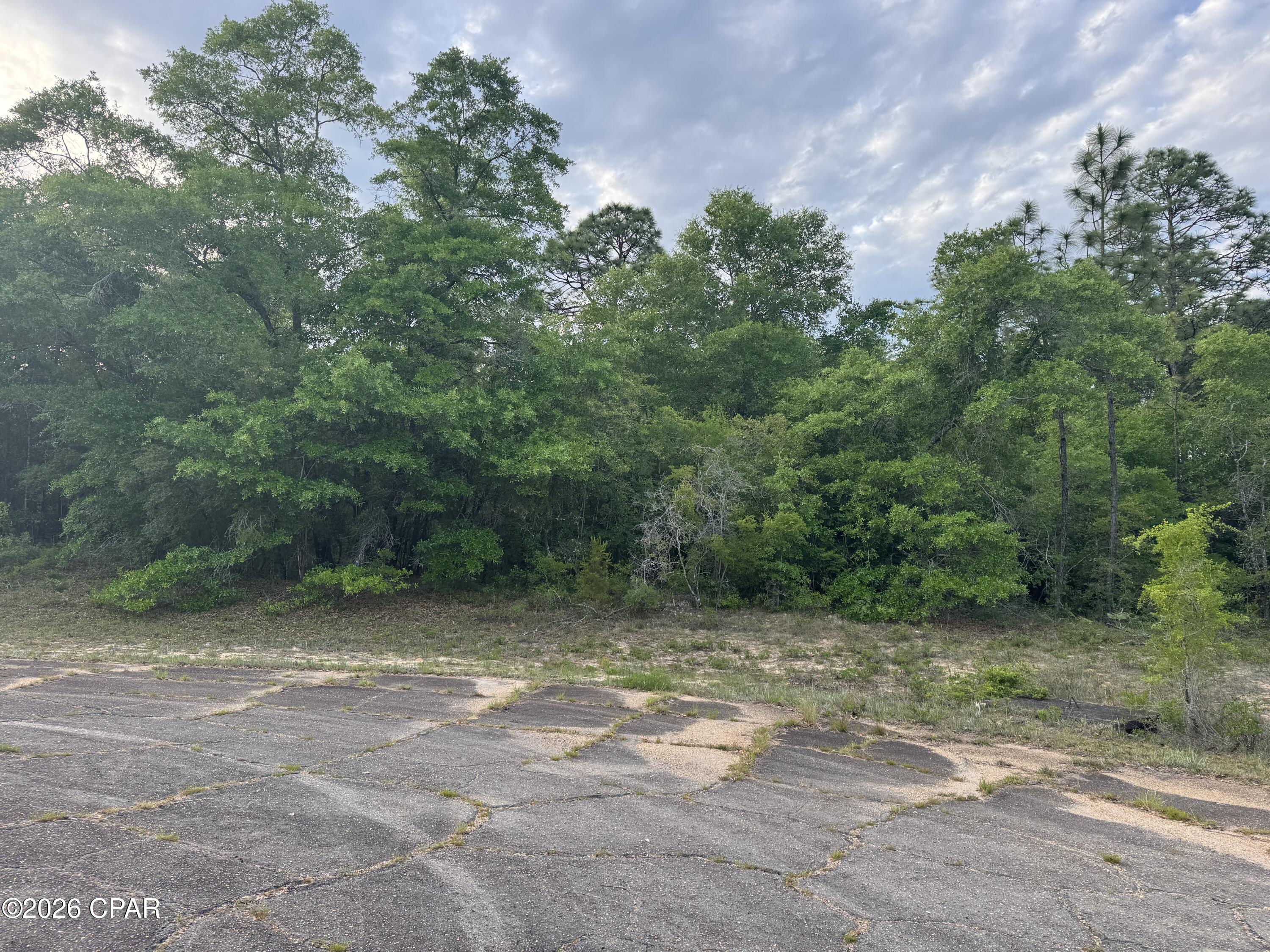 Nice wooded building lot in South Washington County . Property is 45 minutes to the World's Most Beautiful Beaches and Northwest Florida International  Airport . Sunny Hills offers a fantastic golf course, several Lakes to enjoy swimming, fishing and boating.