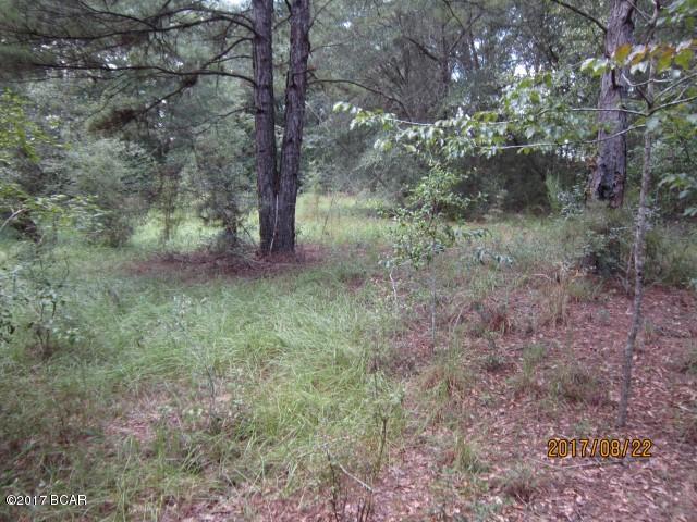 Small acreage tract located on Highway 177A in Holmes County, all high and dry on side of a hill, some cleared and some wooded.  Would make a very nice homesite with room for horse.  Has approximately 225 feet of highway frontage.  Come look today. Some nice shade trees.