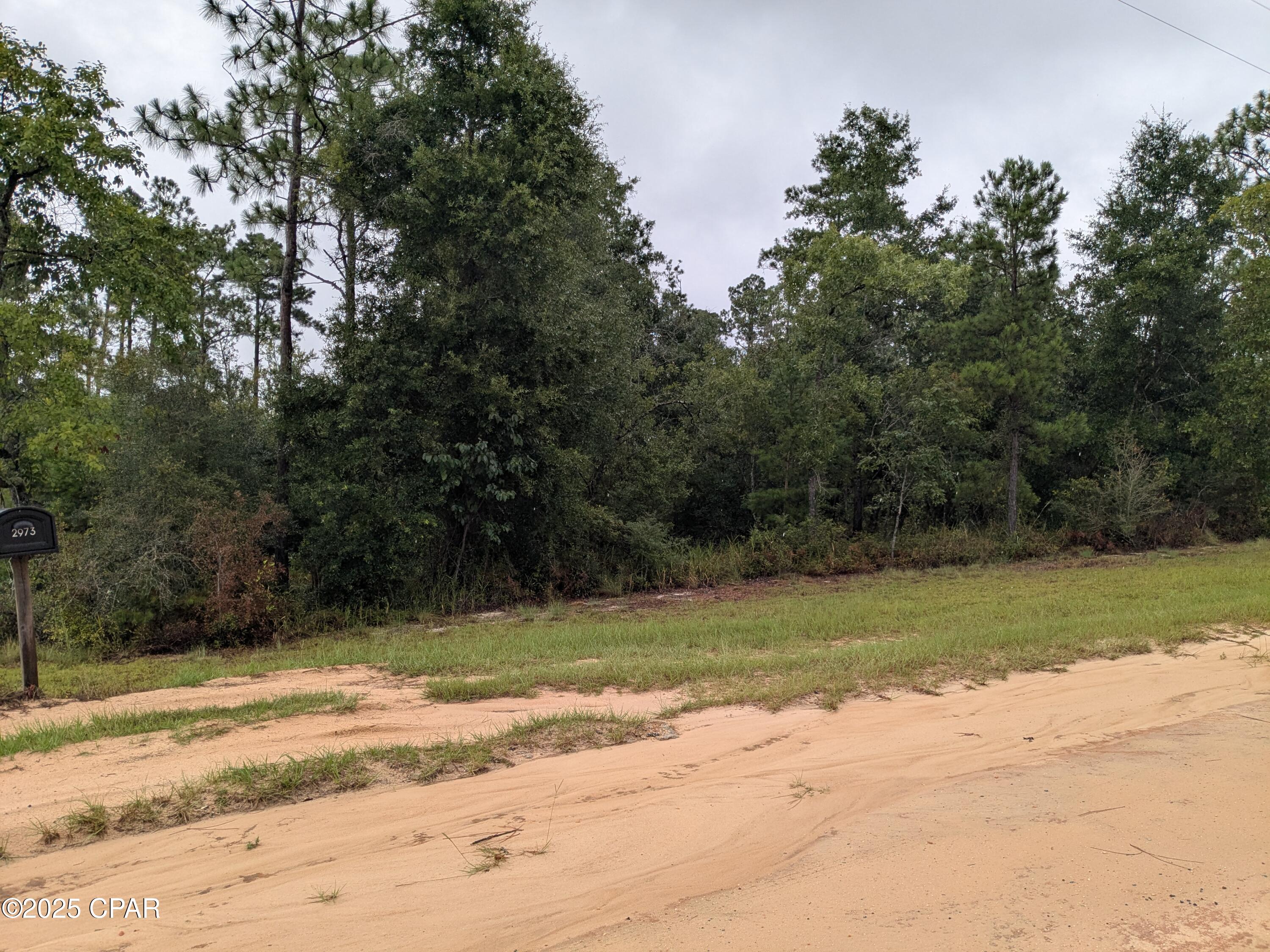 Wooded lot at the very end of Castillo , with all the privacy you need to build your home. The land on the west side of the lot is a completely cleared lot which lets you see this lot all the way to the back. The lot has multiple kinds of trees on it from Oak, Maple and Pine. 
Manufactured homes are allowed now. 
Great spot to build.. The power lines are run to this lot on the road in front.