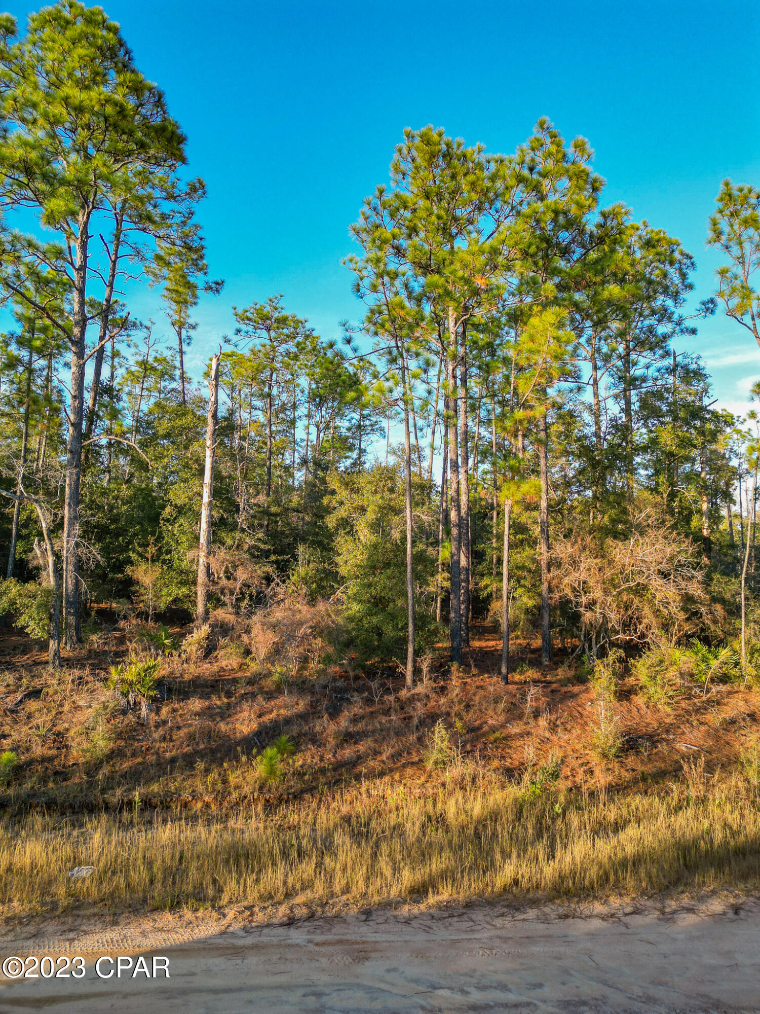 Compass Lake Hills Unit 5 - Land