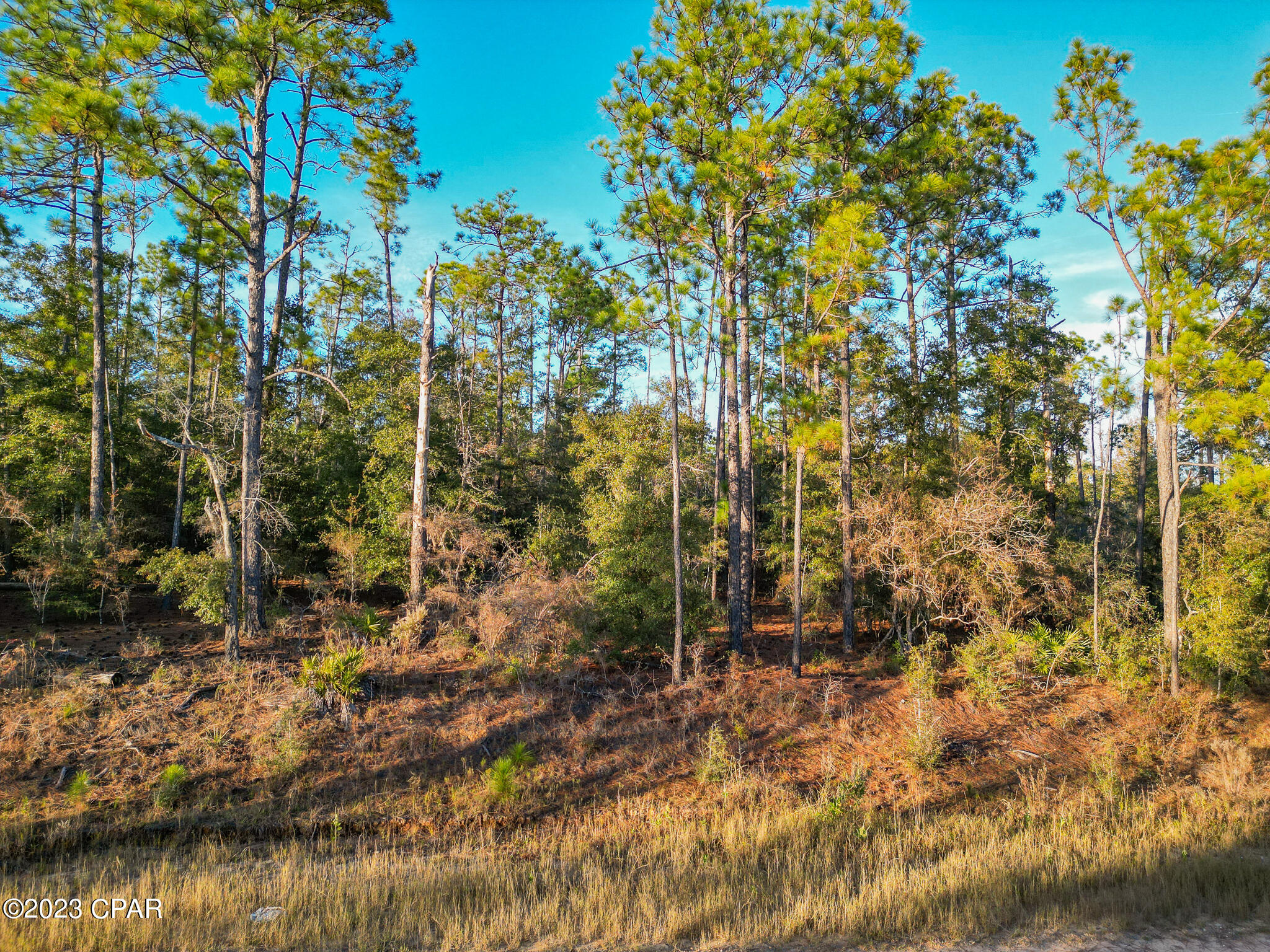Compass Lake Hills Unit 5 - Land