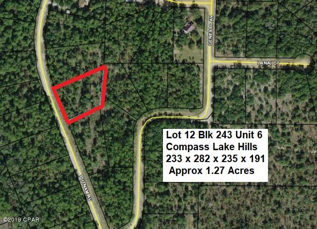 BIG 1¼ ± ACRE HIGH & DRY LOT in the Compass Lake in the Hills Community in NorthWest Florida. Conveniently located approx 15 minutes South of Interstate 10 at Marianna, and about 40 minutes North of Panama City for Shopping, Restaurants, Entertainment, and Beautiful Gulf Beaches. This lot slopes up gently from the road to back of lot providing a nice view to West. Site Built or Modular homes only, no mobile homes in this area of development. As an owner in this development you have access to Private McCormick Lake for Swimming, Fishing, Canoeing, etc, as well as the Main Lodge on Compass Lake with Swimming Pool, etc. ACT NOW to take advantage of this opportunity to purchase this NICE LOT at a GREAT PRICE  !!