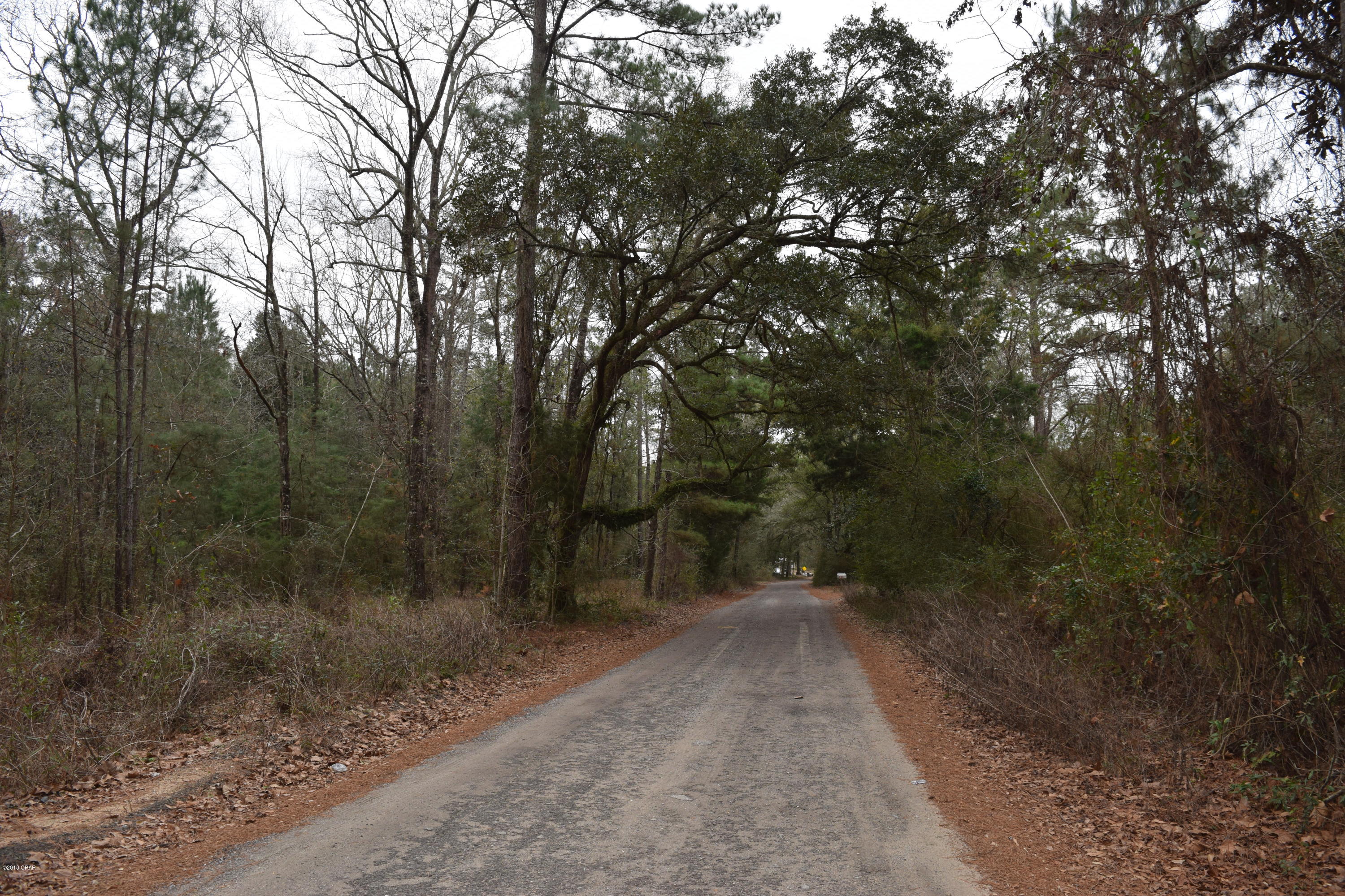 Great property for fishing or hunting camp.