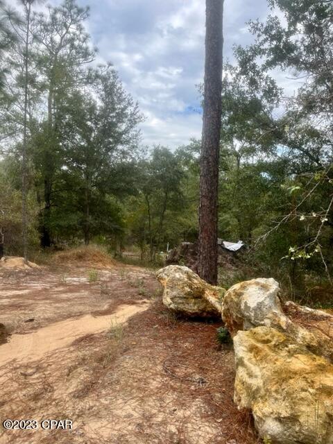 Payne Lakes - Land