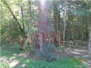 19 +- ACRES WOODED AND CLOSE TO RIVER AND HUNTING. LAND MOSTLY HIGH AND DRY. INFO FROM PROPERTY APPRAISOR, PLEASE VERIFY IF IMPORTANT. CALL FOR SHOWING