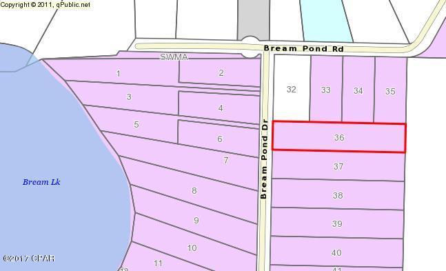 Bream Pond - Land