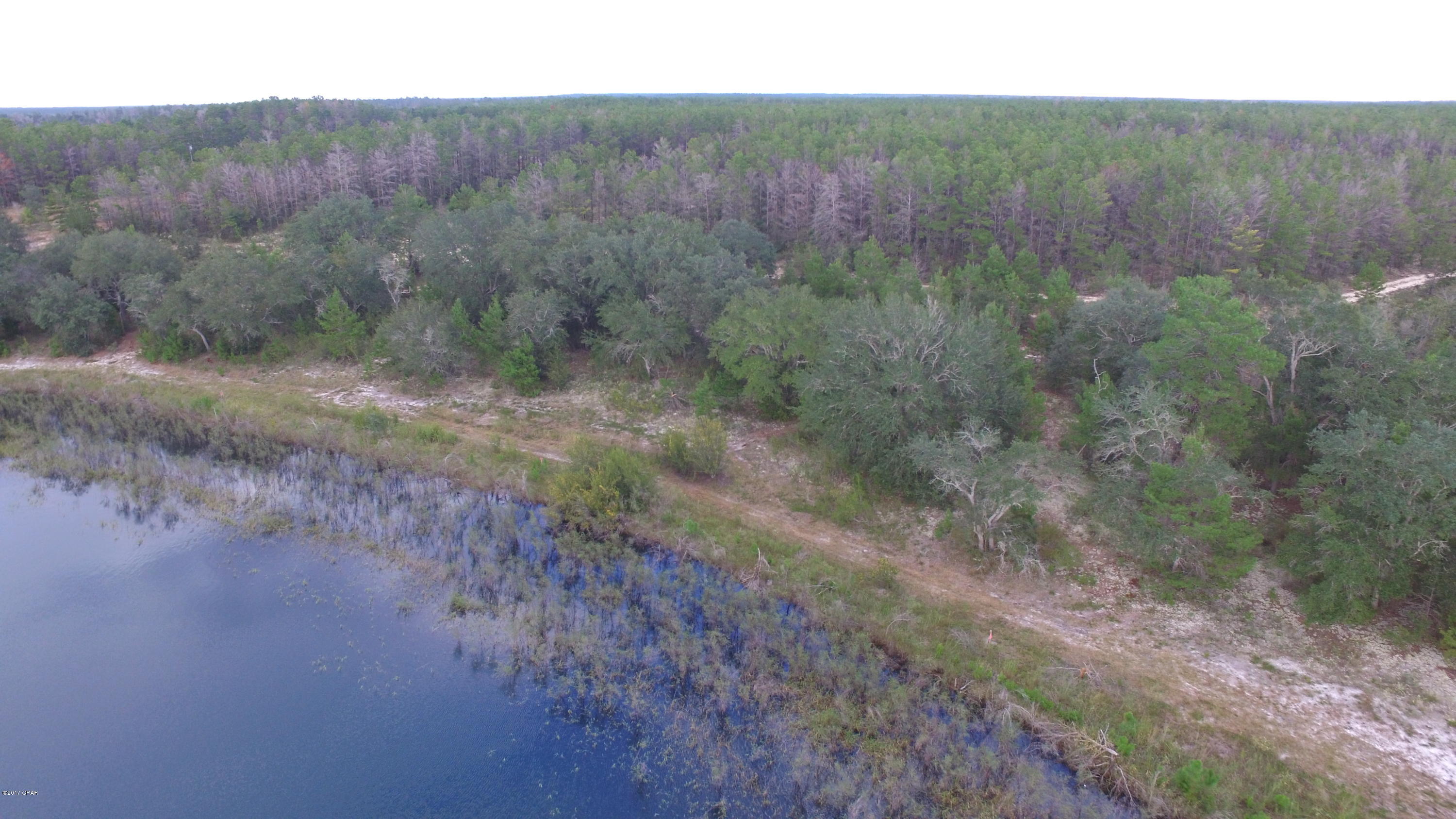 Bream Pond - Land
