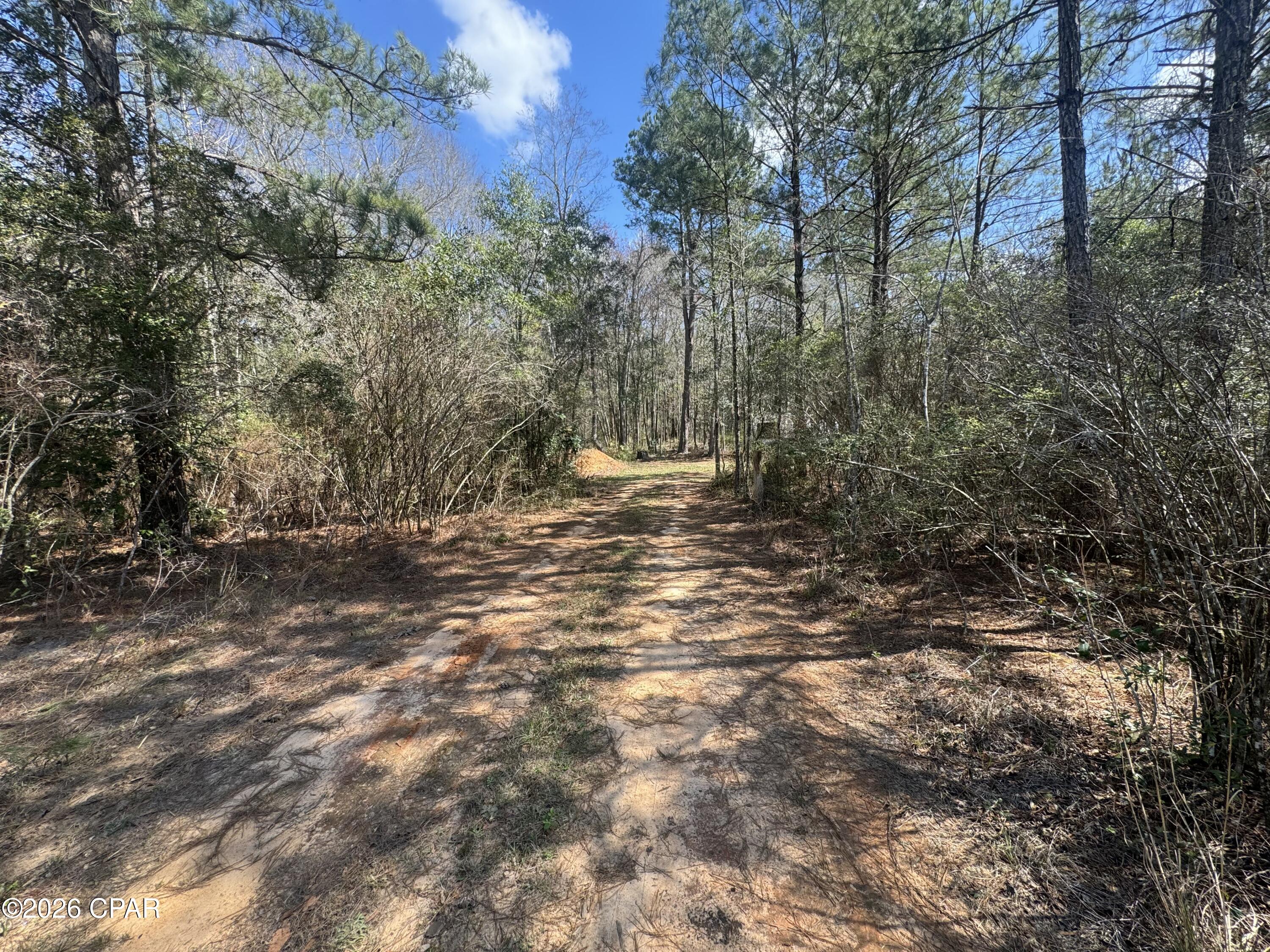 13+ acres of beautiful wooded land offering privacy, natural beauty, and endless possibilities.  Tucked just off the highway for convenient access while still feeling secluded, this property features a natural spring and  mature trees that create a peaceful, scenic setting.  Whether you're looking for the perfect spot to build your dream home, a private retreat, or a place to enjoy nature, this property offers the space and tranquility to make it your own.  Enjoy the charm of country living with the convenience of being just a short drive from town.