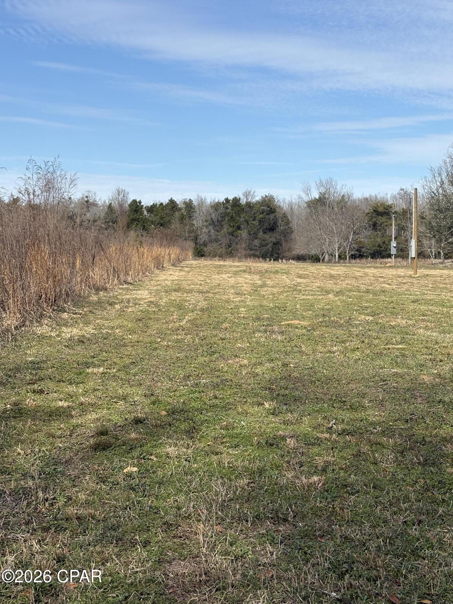 1.18 acres cleared with electric on site. level ,ready for your next home, Trailer, Tiny home or site built home.