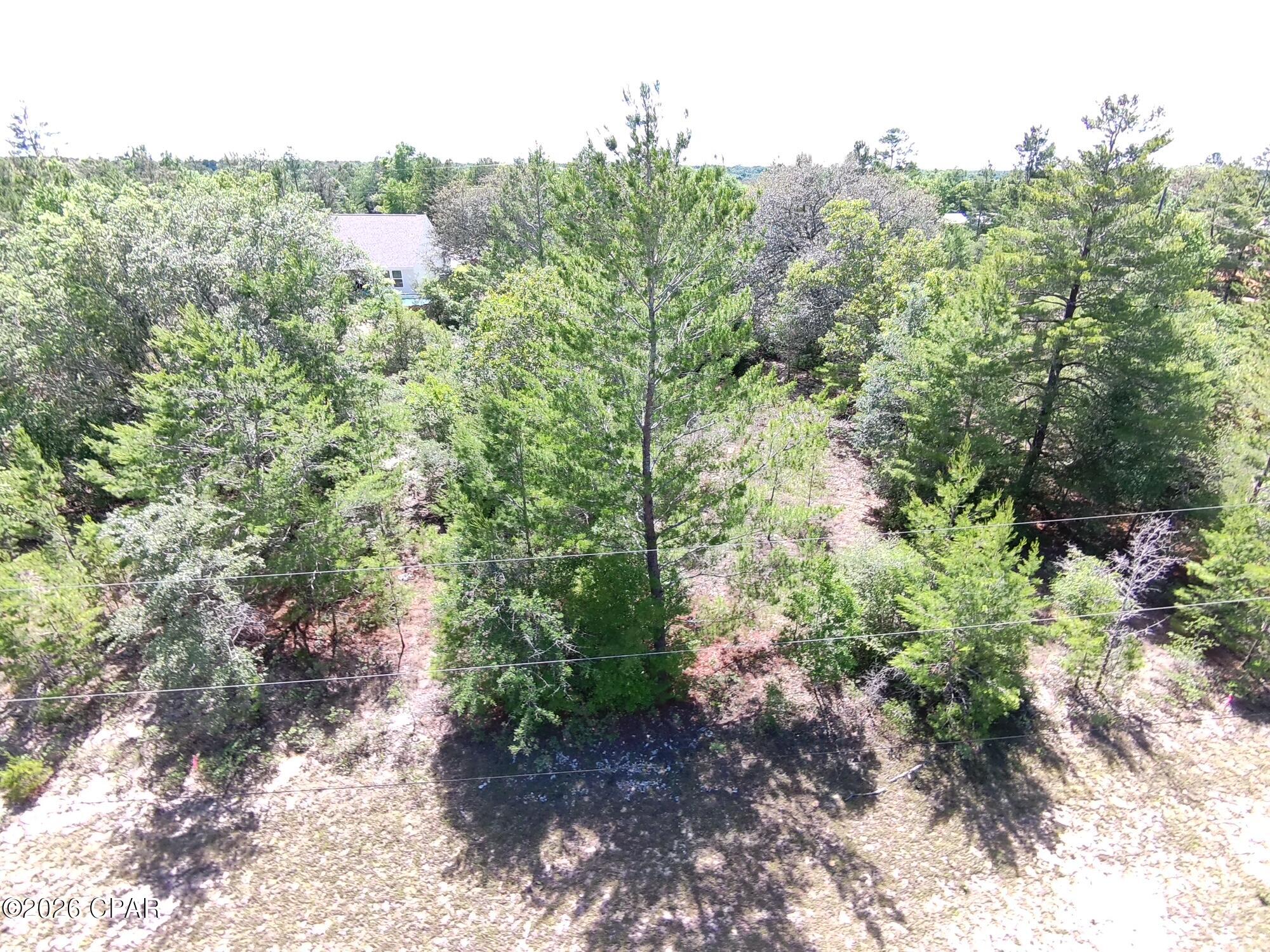Excellent opportunity to own a .229-acre residential building lot in Unit 2 of Sunny Hills, located at Lot 20 on Delft Drive. With power present and water connection available, this affordable homesite offers a great chance to build now or invest for the future in one of Northwest Florida's steadily growing communities. The property features a peaceful setting with flat to gently level elevations, making it well-suited for future residential development. Located in a quiet section of Sunny Hills, this lot offers privacy and natural surroundings while still being conveniently close to the community's many amenities and recreational opportunities.  Sunny Hills is known for its beautiful wooded landscapes, rolling hills, and outdoor lifestyle. Residents enjoy access to the popular Sunny Hills Golf Course, an 18-hole public course that serves as one of the area's premier attractions. The community also features numerous lakes, parks, and recreation areas perfect for fishing, boating, kayaking, walking, and enjoying the outdoors. Don't miss your opportunity to secure land in the growing Sunny Hills community.