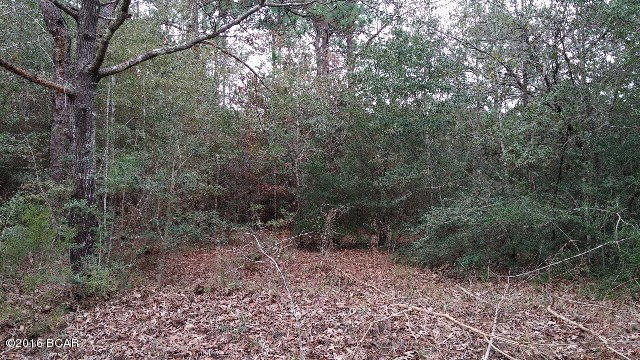 Looking to build a new home? This is the perfect 2.31 acres to build that new home ,just out of town.This property has lots of trees on it and several nice homes built in the area. The feel of country living ,yet close to shopping and schools.Call today for your appointment to see this rare find.