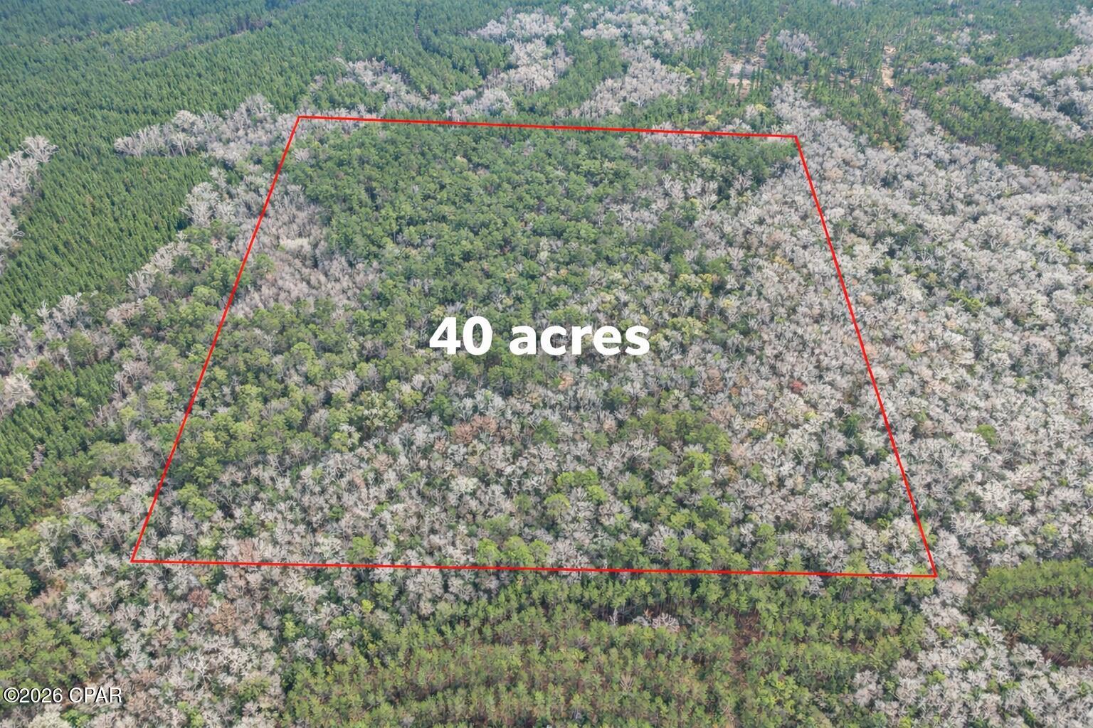 Bonifay - Land