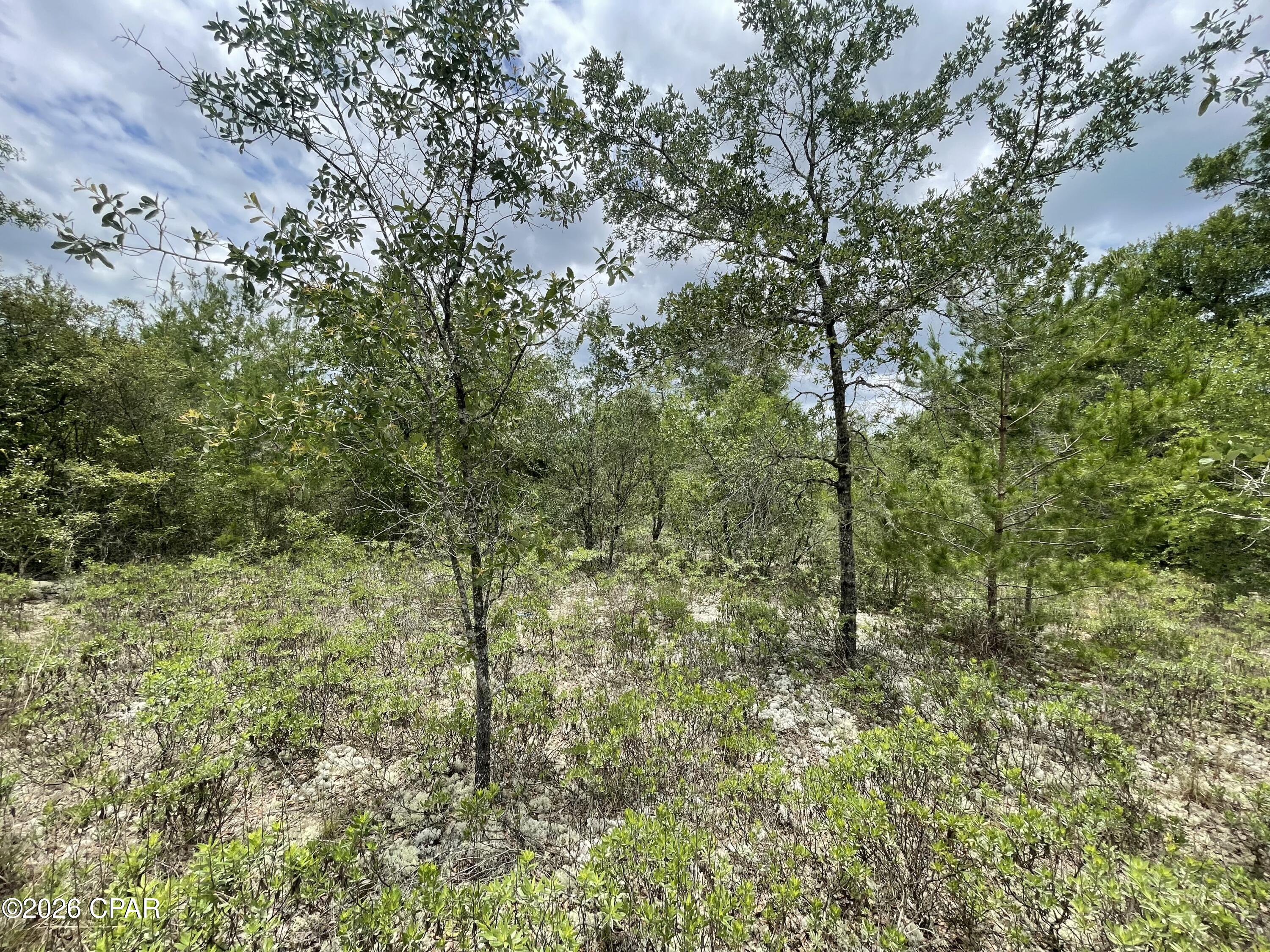 No Named Subdivision - Land