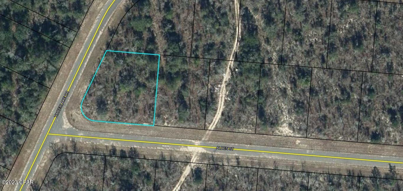 GREAT BUILDING PARCEL that's been left to its original Plush Green Florida Landscape. That means YOU have the ability to choose which trees stay and which ones go. Choose where you want your home built and even where your driveway goes. The Sunny Hills community has places to swim, golf, bike, hike and it has some of the best Fishing Spots on the planet !!! Location is perfect to escape the busy life in this quiet community. But if you ever miss it, Excitement is just a short drive away with The Worlds Most Beautiful Beaches Panama City Beach, Famous Pier Park Shopping, Tyndall Air Force Base and the Marianna Caverns. Cool Deep Water Springs are just minutes away along with several State Parks. Purchase this parcel to build on now or for a future investment. Also makes a great gift.