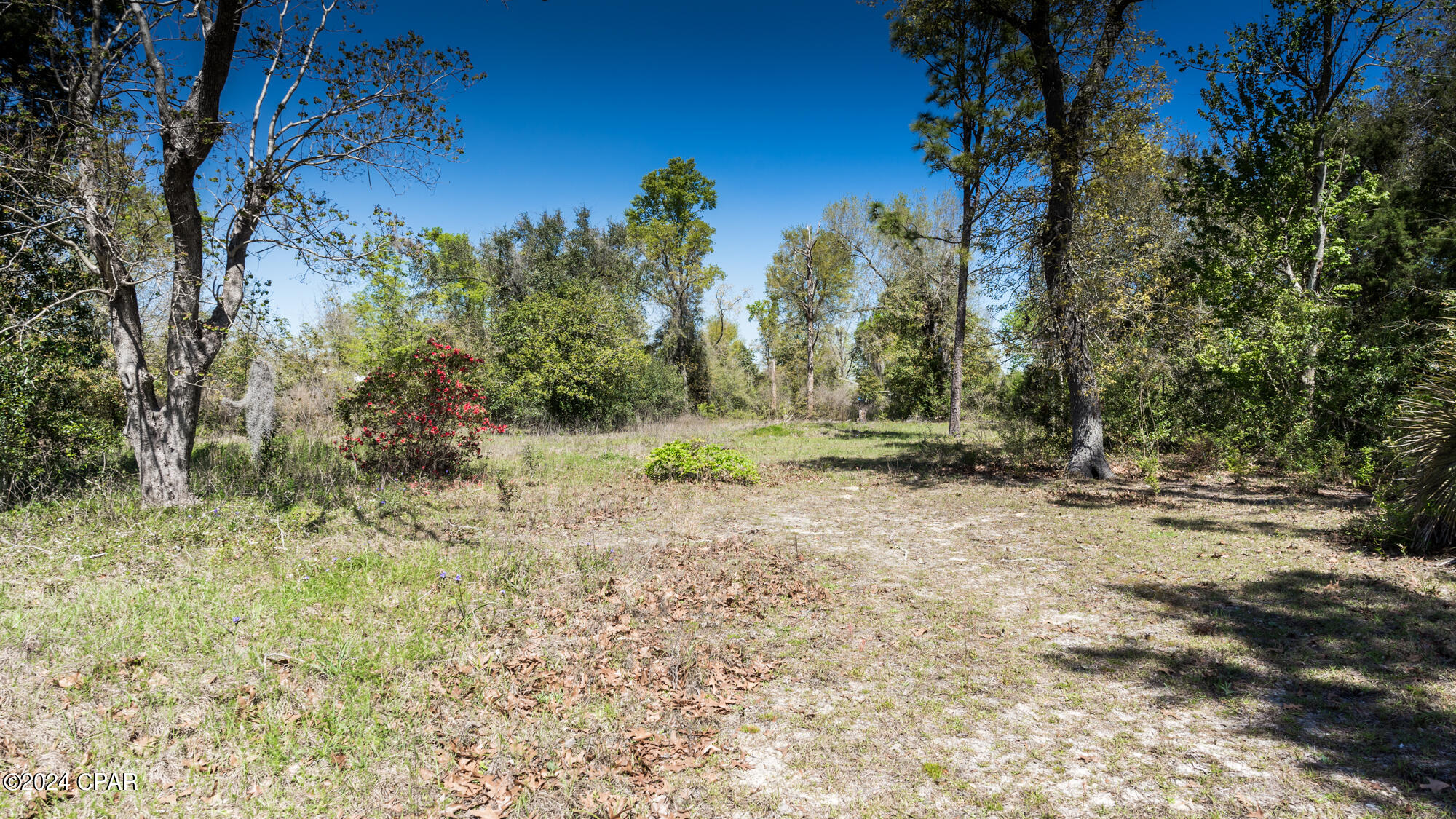Deer Point Lake - Land