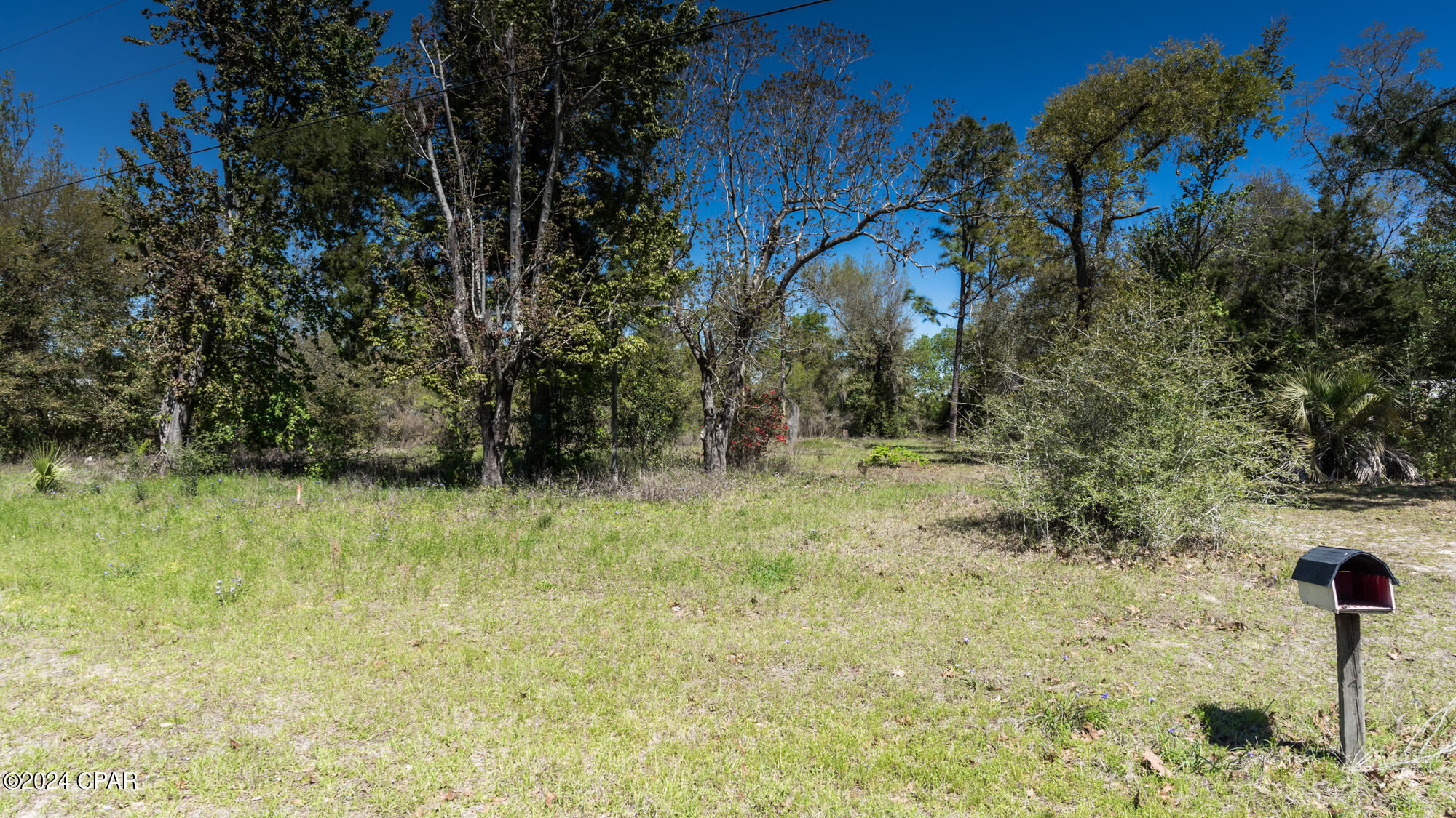 Deer Point Lake - Land