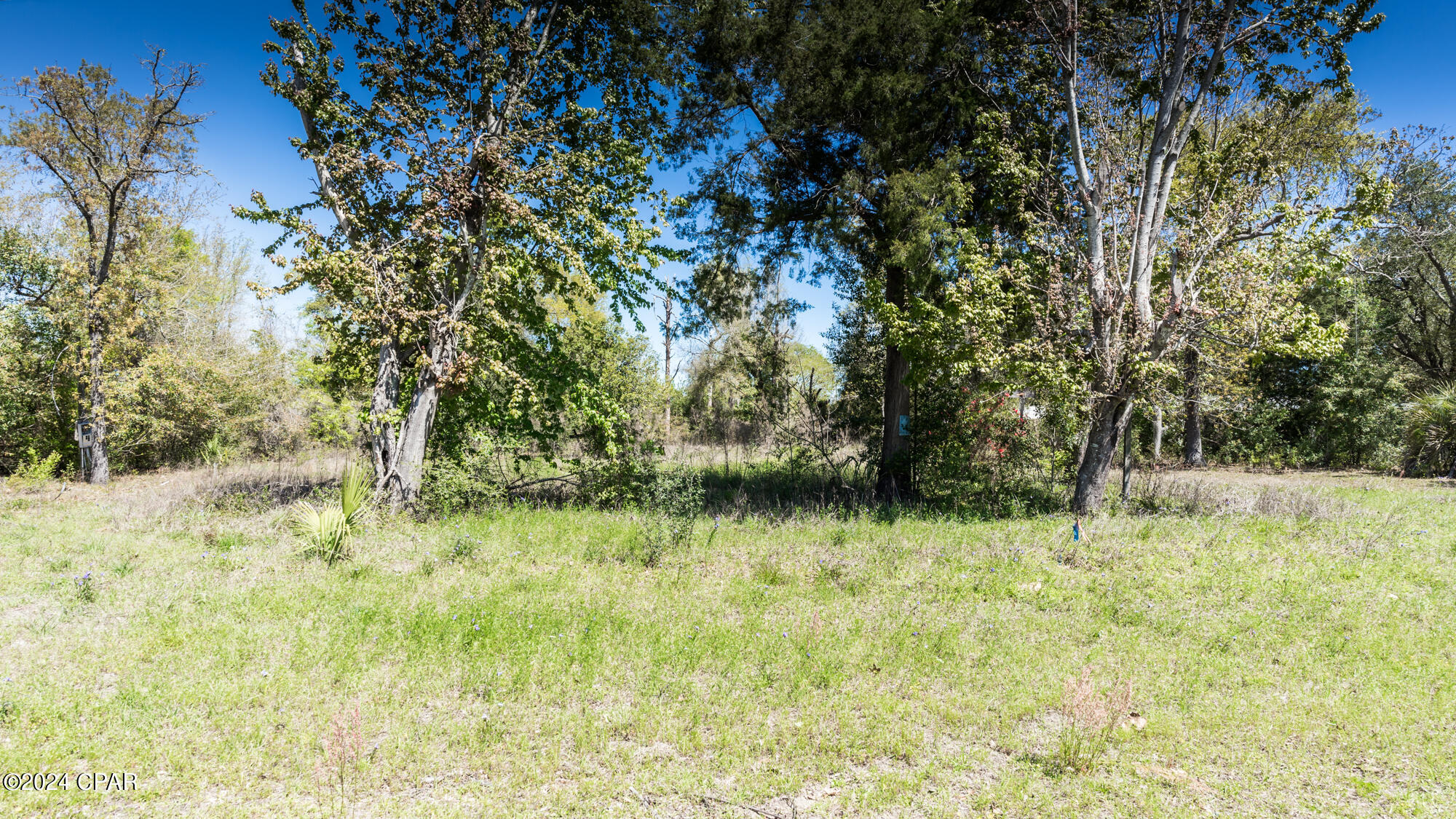 Deer Point Lake - Land