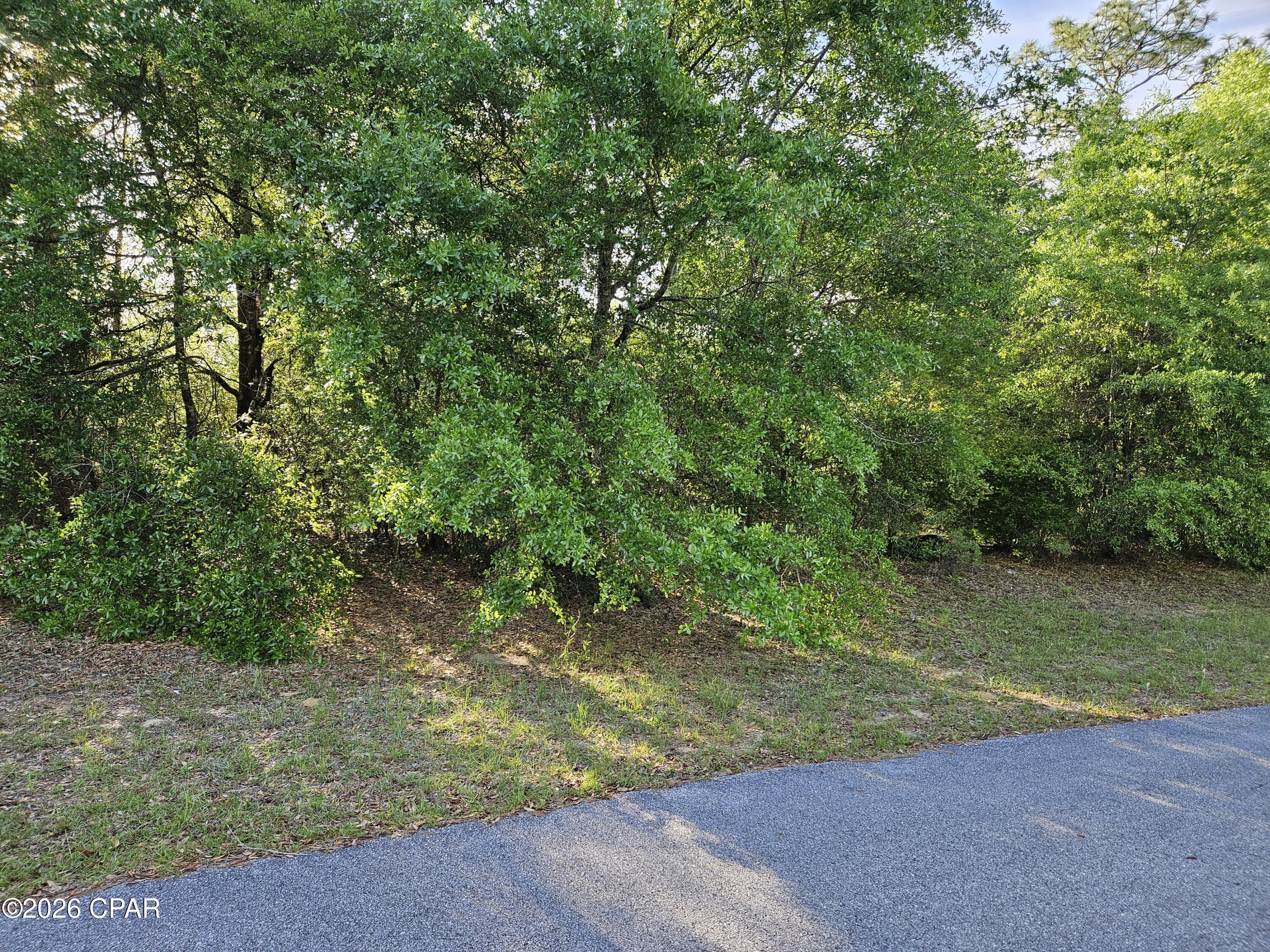 This lot is flat and located just over a block from Hwy 77 off of Voltaire. It has plenty of large oak trees so there is abundant shade. It is the second lot on the right after turning onto Bricknell. Sunny Hills is a growing community with lots of recreational opportunities including several lakes for fishing, boating, kayaking and swimming. The crown jewel is nearby Sunny Hills Golf & Country Club with an 18 hole course. It has wide fairways and large greens, and a nice 19th hole for refreshments and snacks. Public water is available, the electricity provider is Florida Power & Light, and septic system is needed.