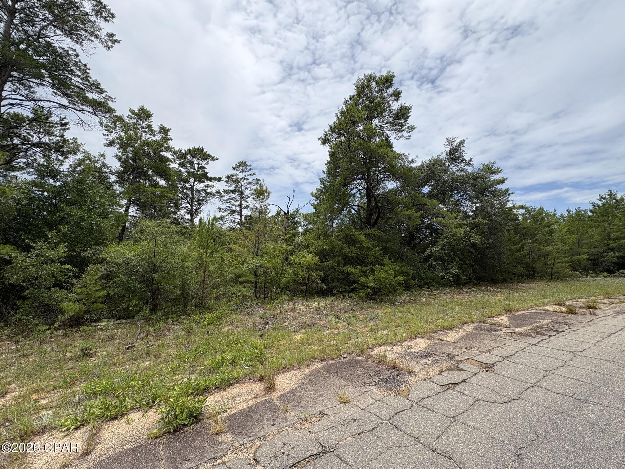 Discover the perfect place to build your dream home on this oversized 0.43-acre homesite in the desirable Sunny Hills community of Chipley, Florida! This beautiful wooded lot offers plenty of space and privacy while backing up to approximately 286 acres of Deltona-owned green space, providing a peaceful natural setting with no rear neighbors. The green space includes scenic Golf Lake, creating an exceptional backdrop for your future home.

According to U.S. Water, public water is available for connection (connection fees apply), making this an excellent opportunity for your new construction plans. Conveniently located near both existing homes and new construction, this property offers the ideal combination of established surroundings and continued growth.

Whether you're ready to build now or invest for the future, this oversized lot is a rare find in a fantastic location. Enjoy the natural beauty, quiet surroundings, and all that the growing Sunny Hills community has to offer.