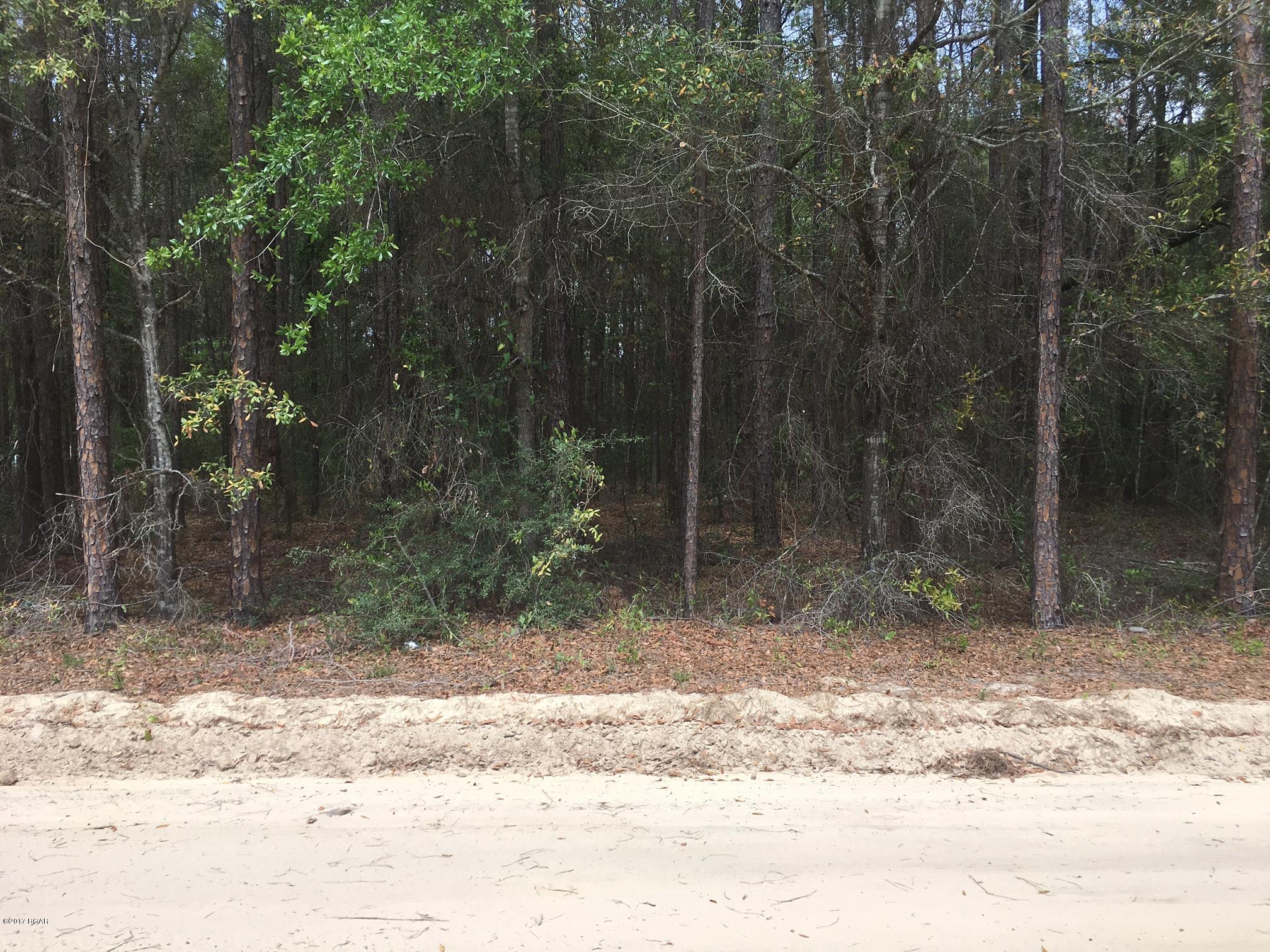 Two lots side by side. Short drive to the beaches and all of the attractions in Panama City. Very close access to the highway on a well maintained road. Seller has 7 lots to sell in close proximity. Bring all offers.