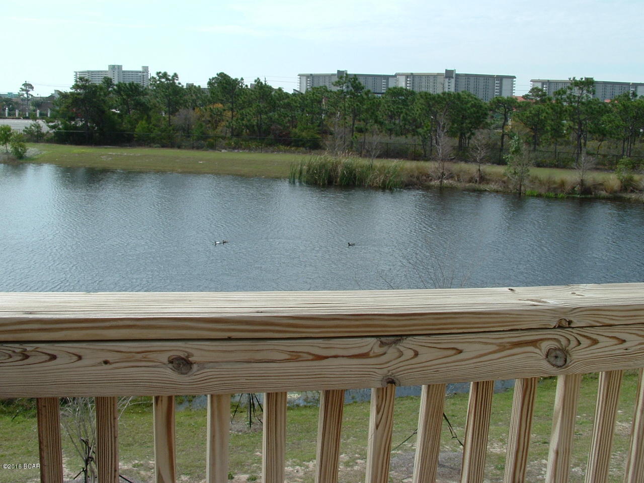 Palm Cove Phase II - Residential Lease