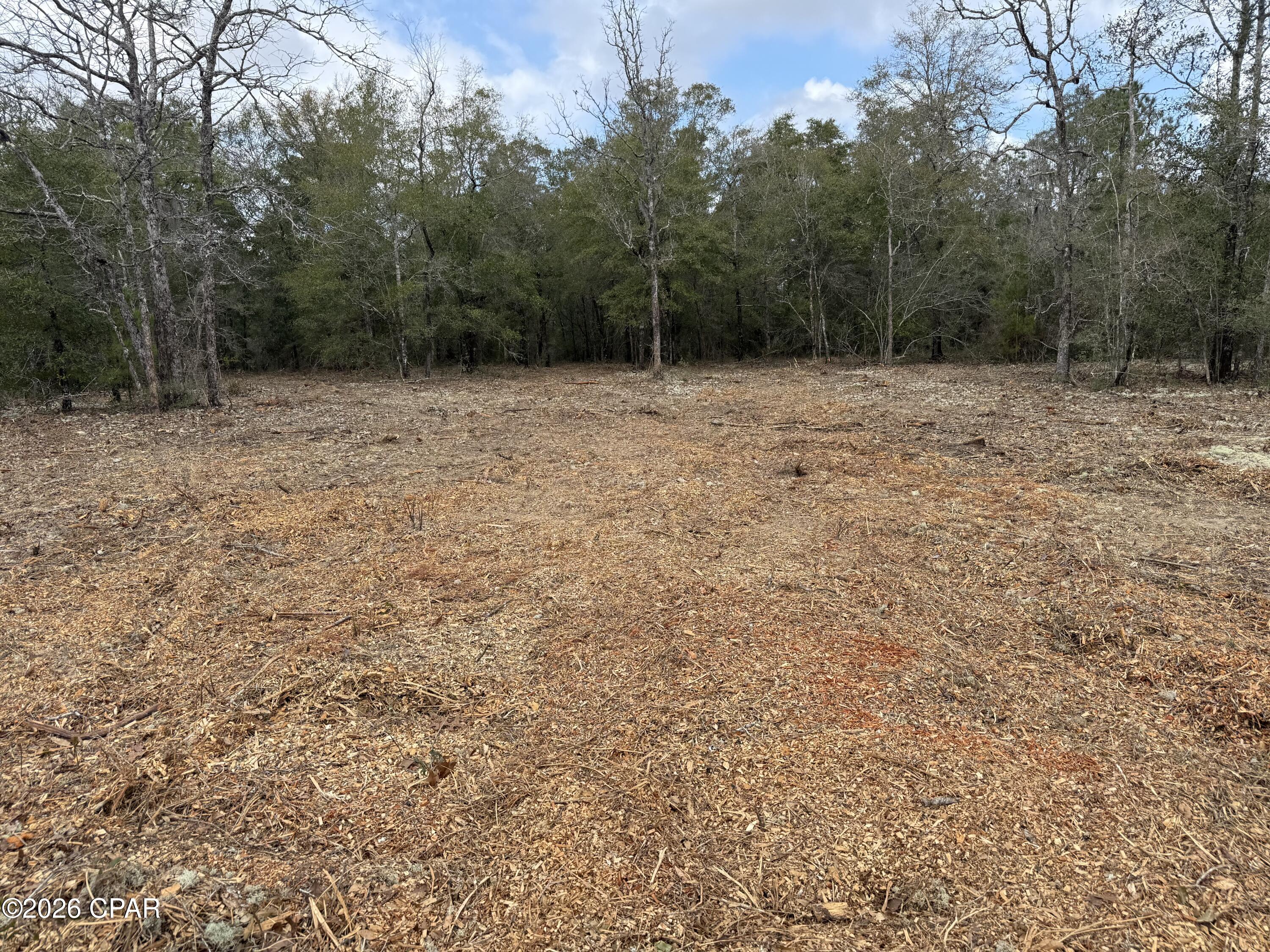 Build your dream home or secure a smart investment with this oversized vacant lot in the growing community of Sunny Hills. Spanning over half an acre, this property offers ample space and flexibility to bring your vision to life. Surrounded by newer construction homes yet tucked away from major roadways, it strikes the perfect balance between neighborhood growth and peaceful privacy.

Enjoy easy access via paved roads and convenient connections to major highways, placing the Gulf Coast's beaches, shopping, and dining just a short drive away. Outdoor enthusiasts will appreciate the abundance of nearby public boat ramps, freshwater fishing, and thousands of acres managed by the Northwest Florida Water Management District, ideal for recreation, sports, and exploring nature.

Sunny Hills is on the rise as a sought-after area, featuring family parks, a golf course, and expanding amenities. Don't miss this opportunity to claim your place in one of the fastest-growing areas of the Florida Panhandle.