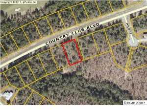 Come join the many that have made Sunny Hills a life style. Whether its outdoor or indoor activities you like,this place has it all. This property needs a home and you. Nice spacious lot with-in walking distance to Sunny Hills golf course. Paved roads to ride bikes on or walk. Ponds to fish in or kayak. Sunny Hills even has a Library.