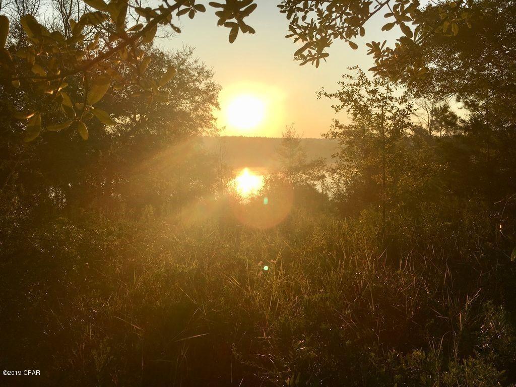 Bream Pond - Land