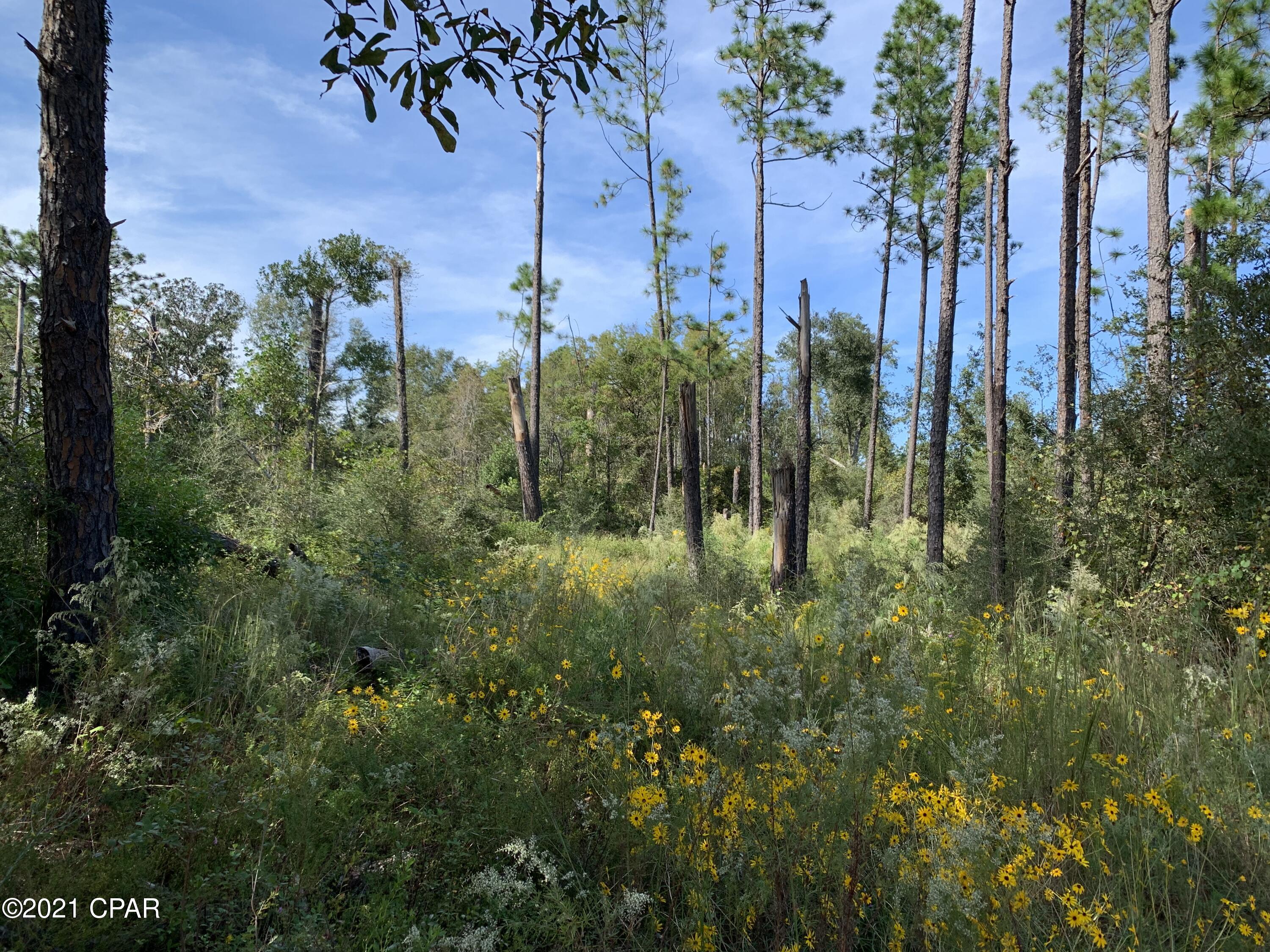 Highlands At Compass Lake - Land