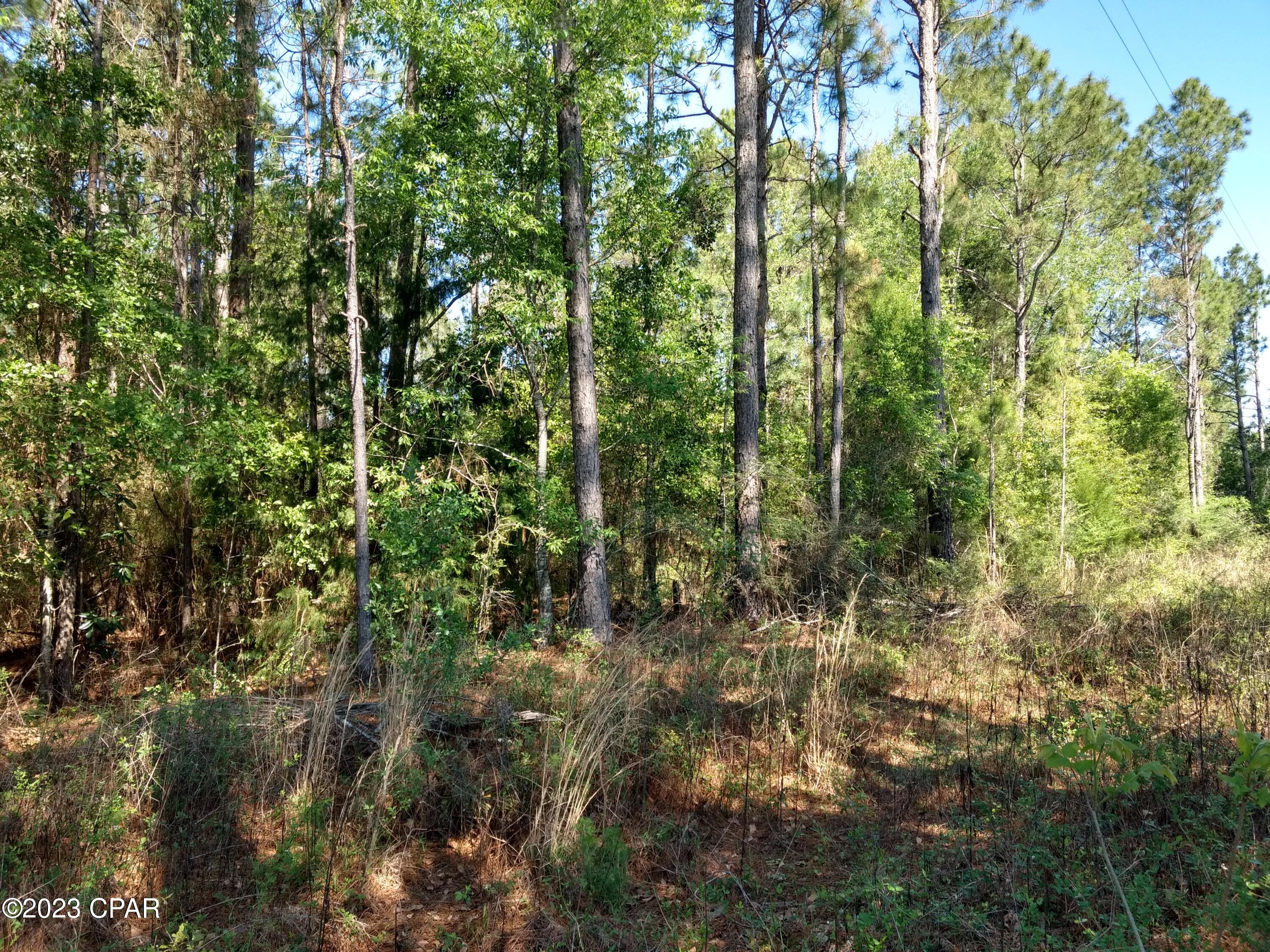 Large building site fronting on the 15th fairway. Has about 145 feet of road frontage on Little John Lane. Lot is wooded with some large shade trees. Beautiful 18-hole Golf course, and a lake nearby for fishing. Located about 6 miles from Bonifay.