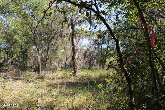 Lake Mckenzie Shores - Land