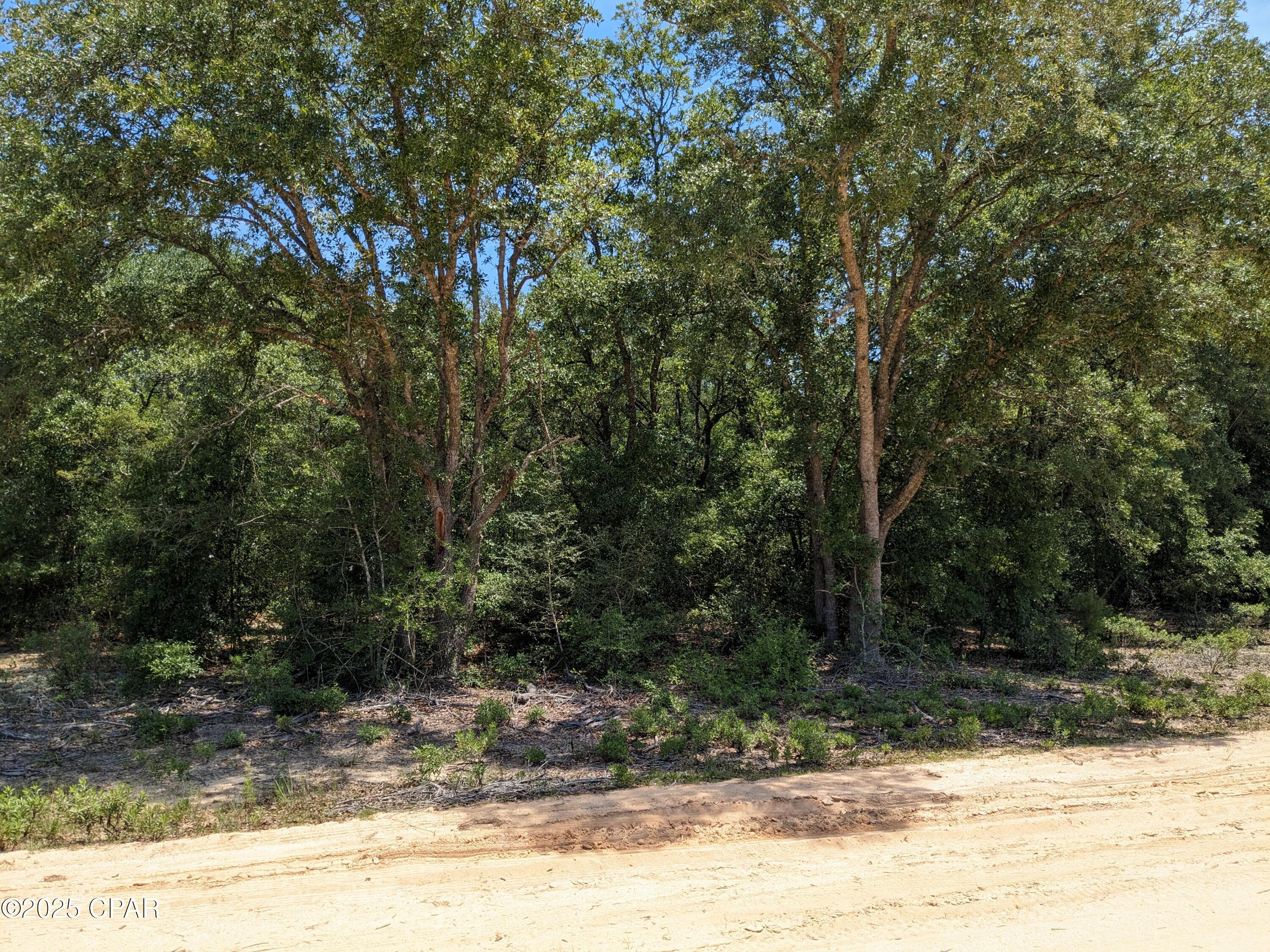 Great place to build or have a Manufactured home. The lot is wooded and very quiet and 
peaceful area. Not much traffic on this dirt road.